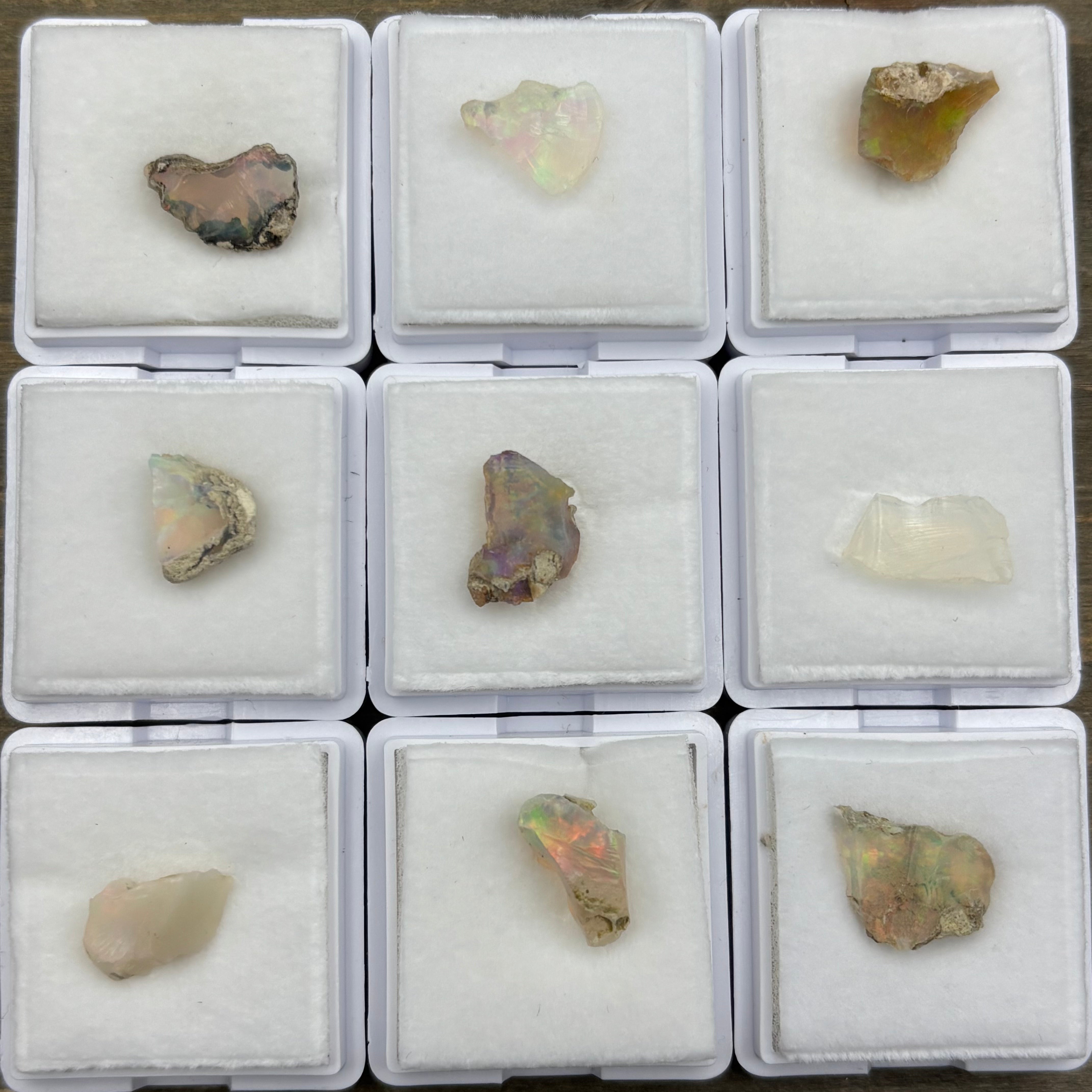 Welo Opal Surprise