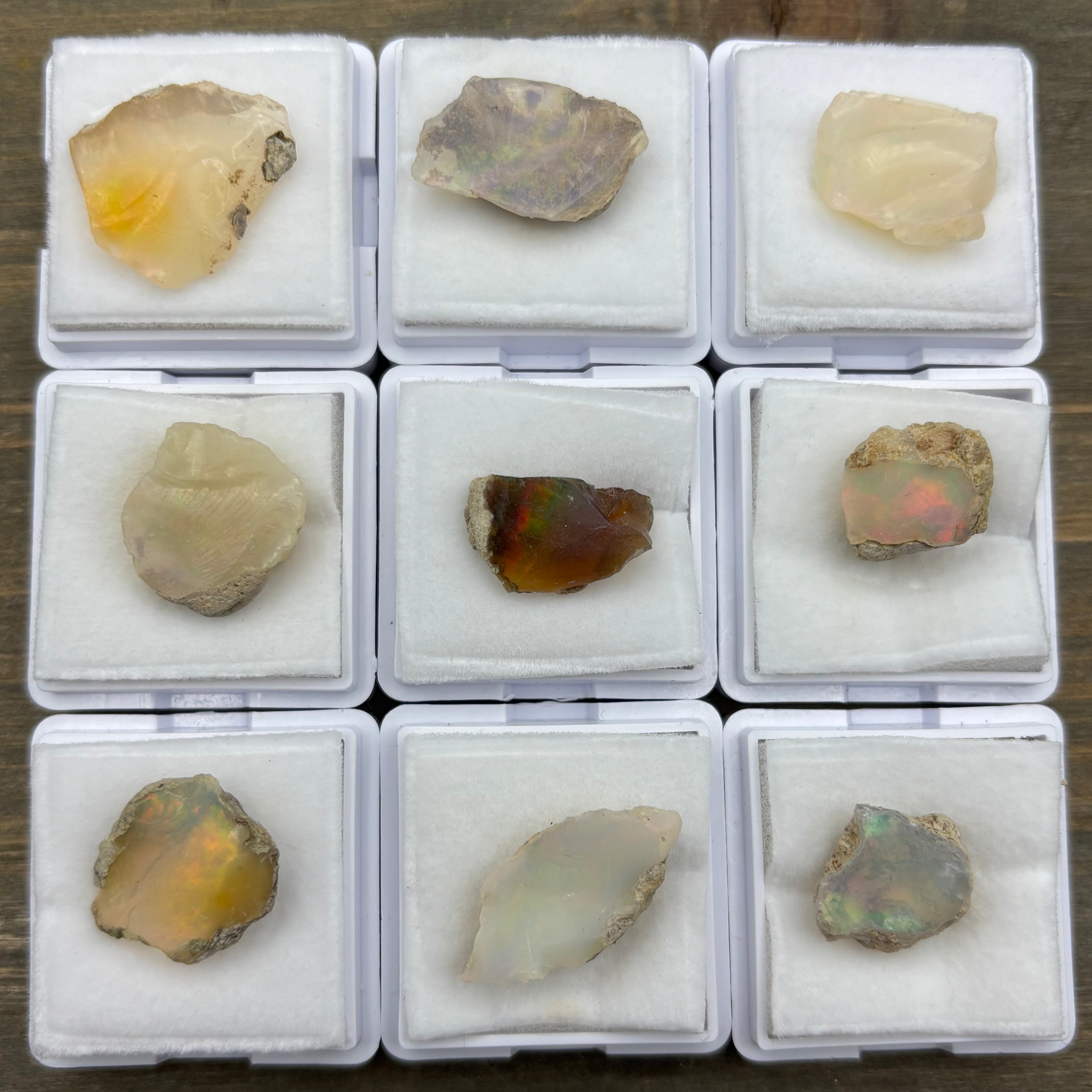 Welo Opal Surprise