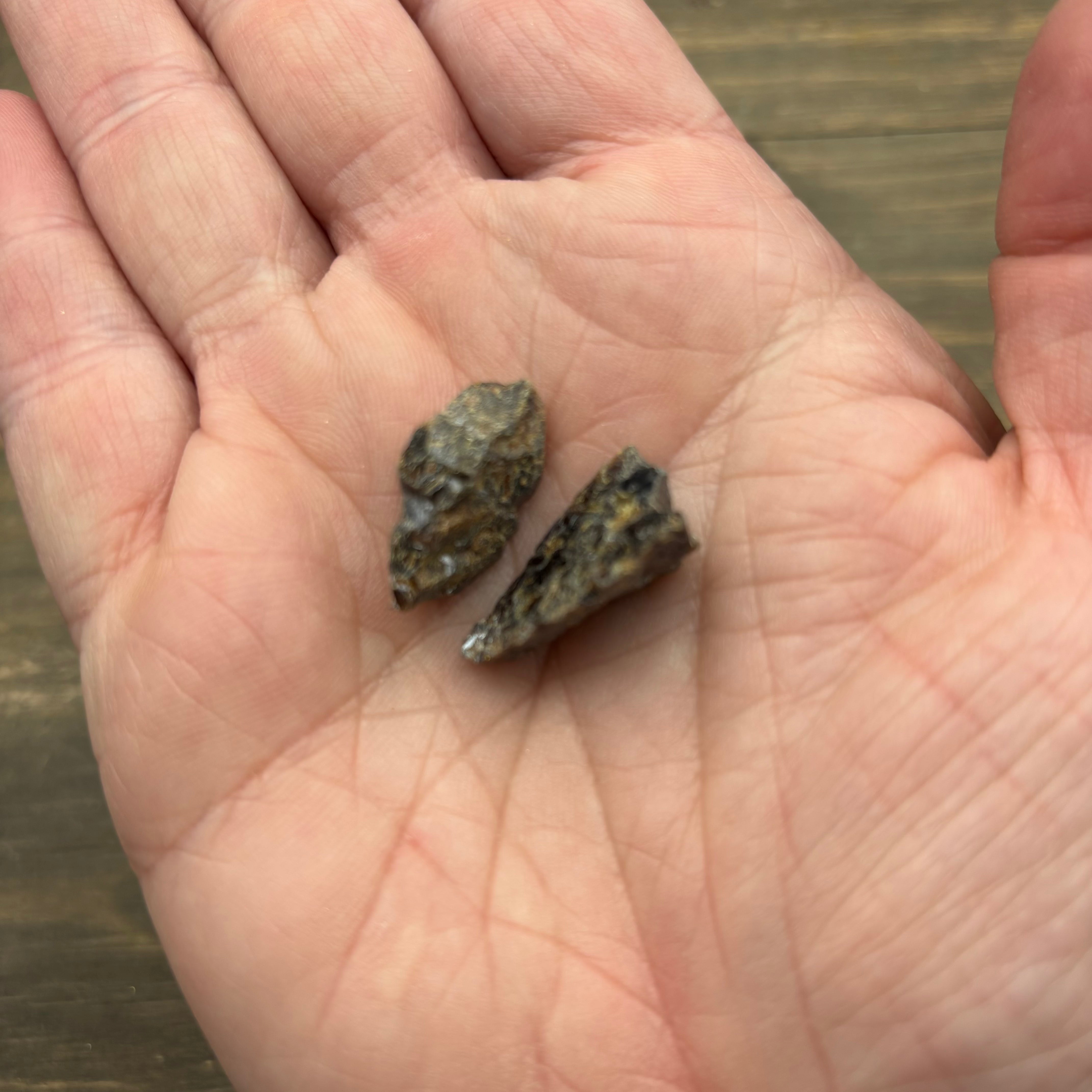 Elmwood Mine Sphalerite Point Pair