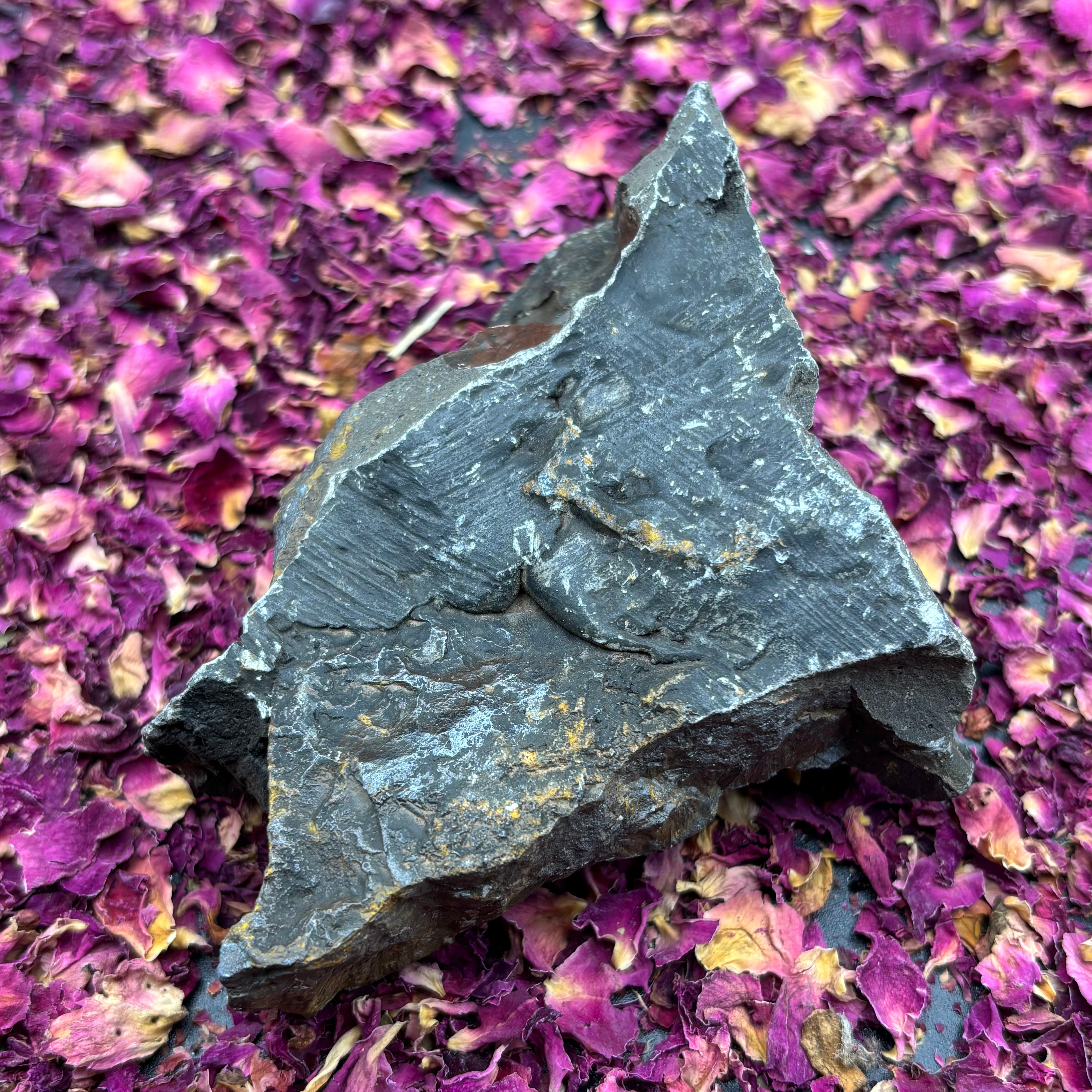 Botryoidal Hematite - 053