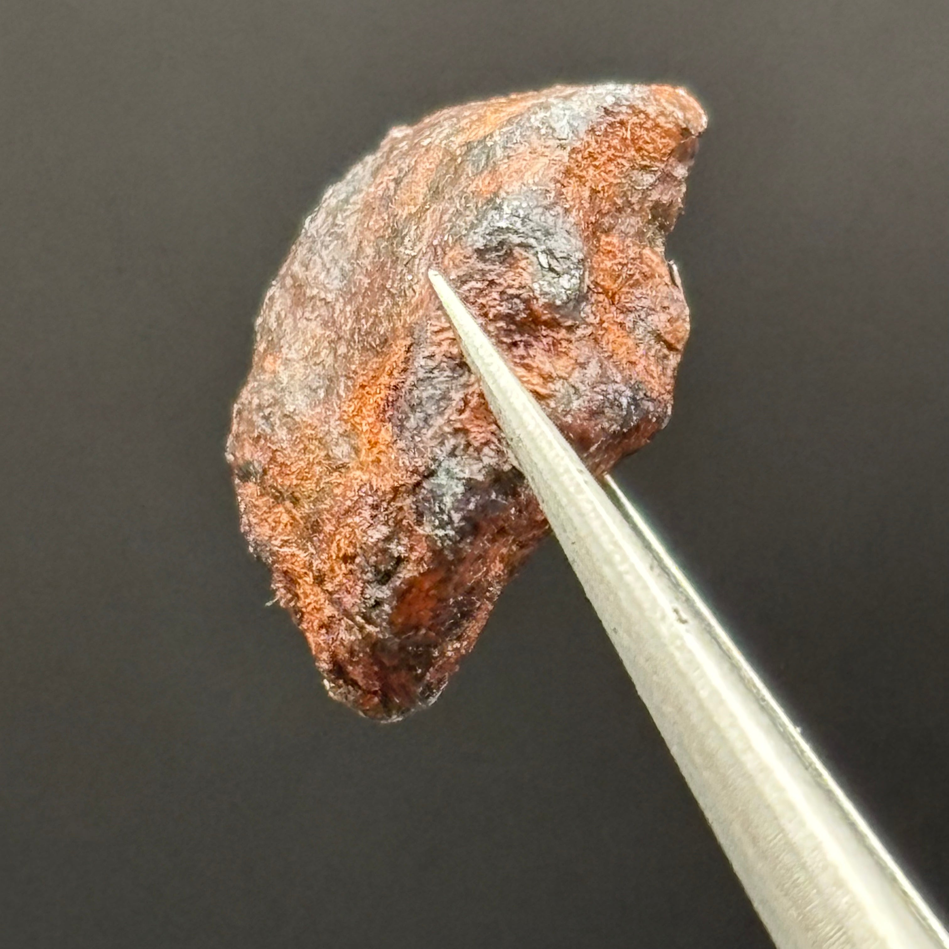 Meteorite, Half-Polished - 001