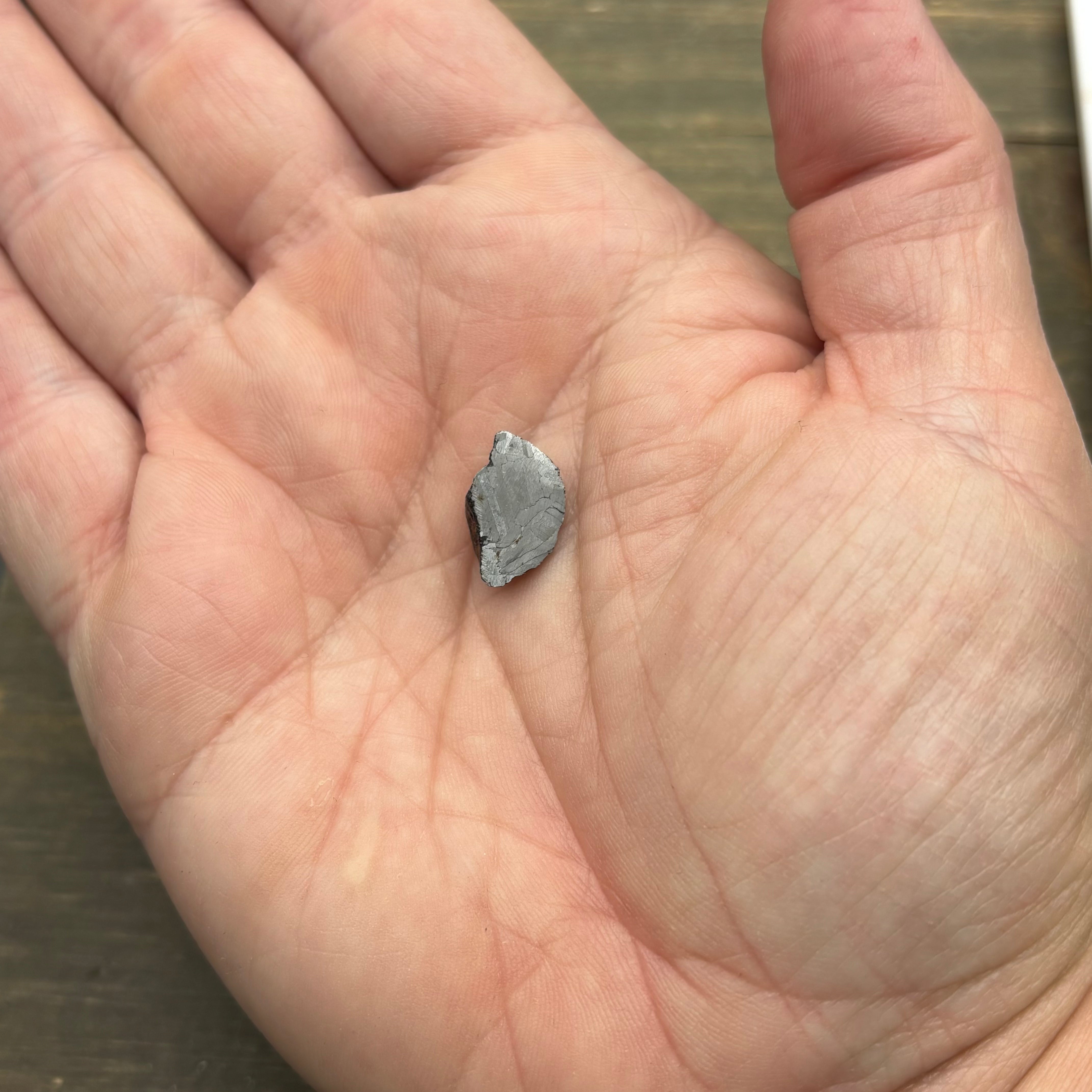 Meteorite, Half-Polished - 001