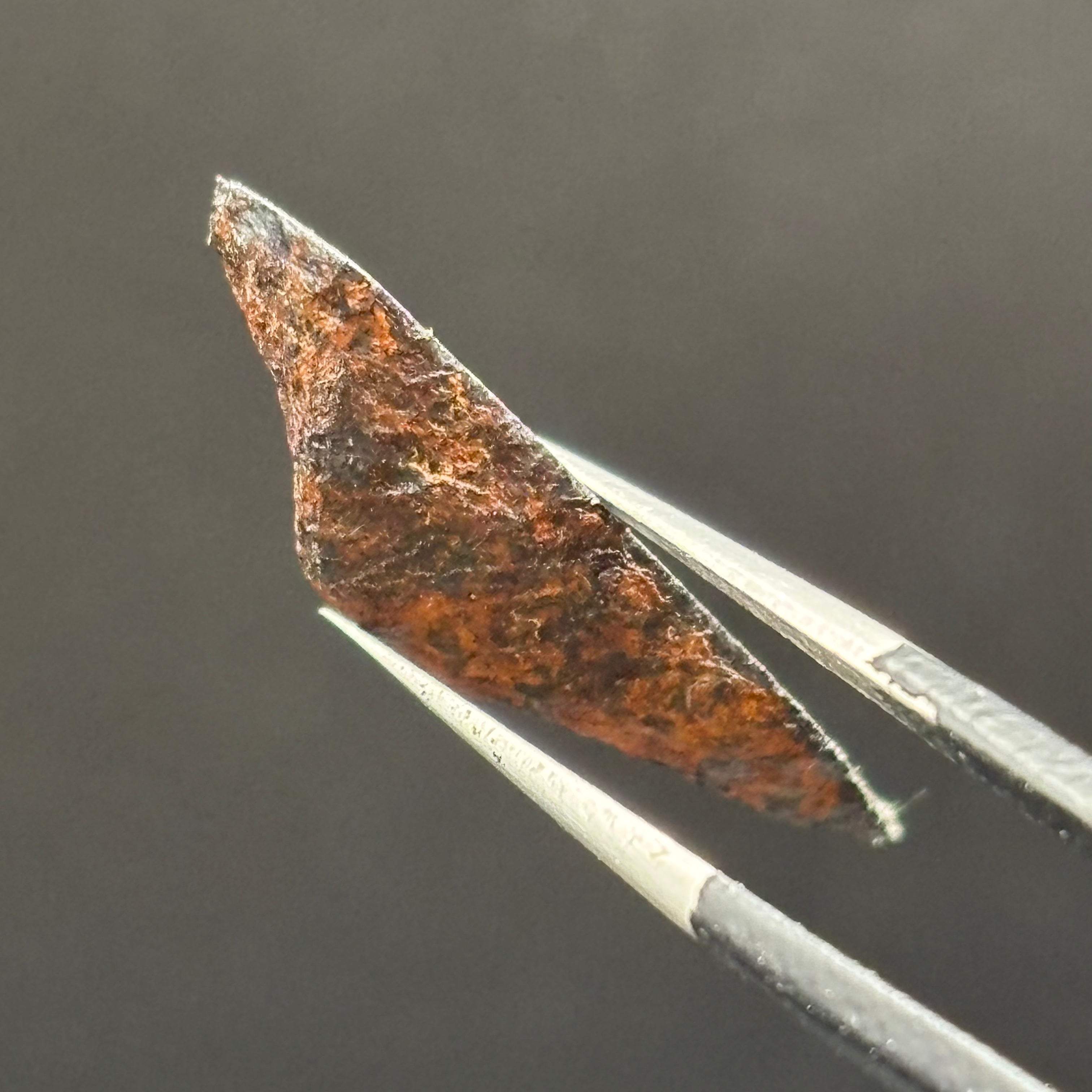 Meteorite, Half-Polished - 003