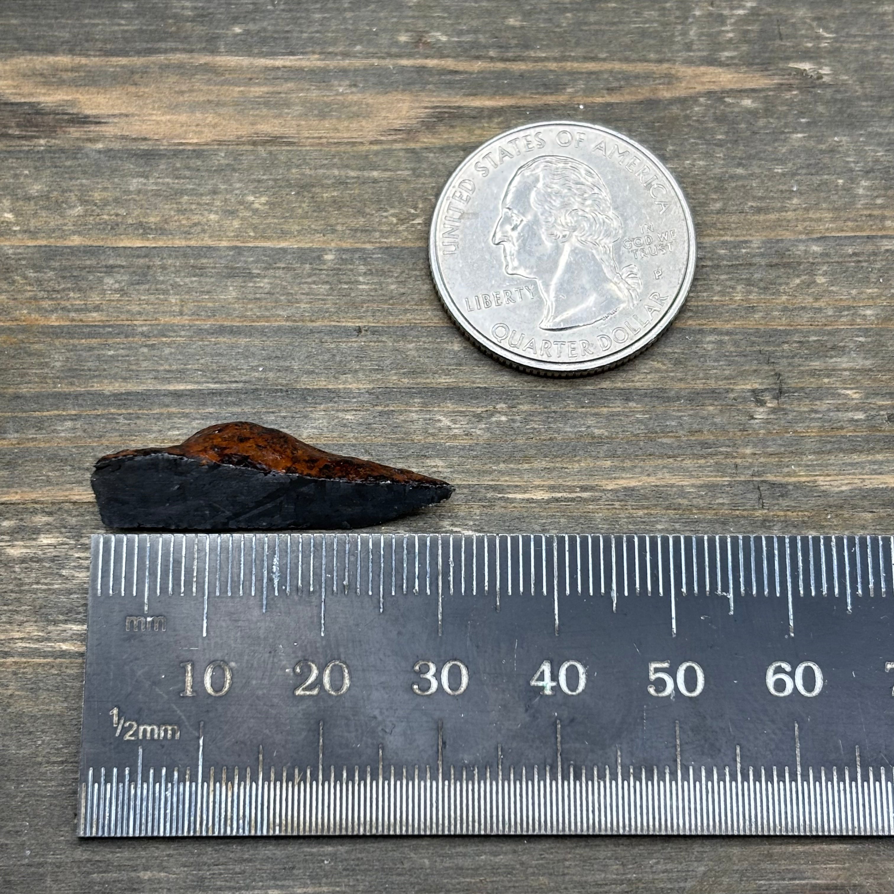 Meteorite, Half-Polished - 003