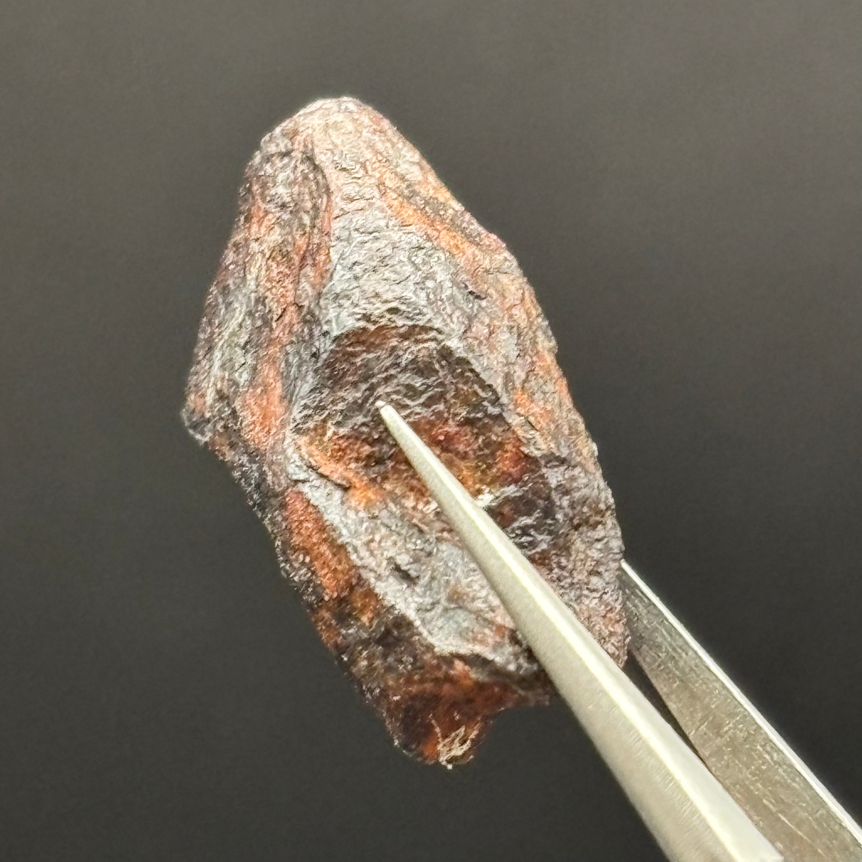 Meteorite, Half-Polished - 004
