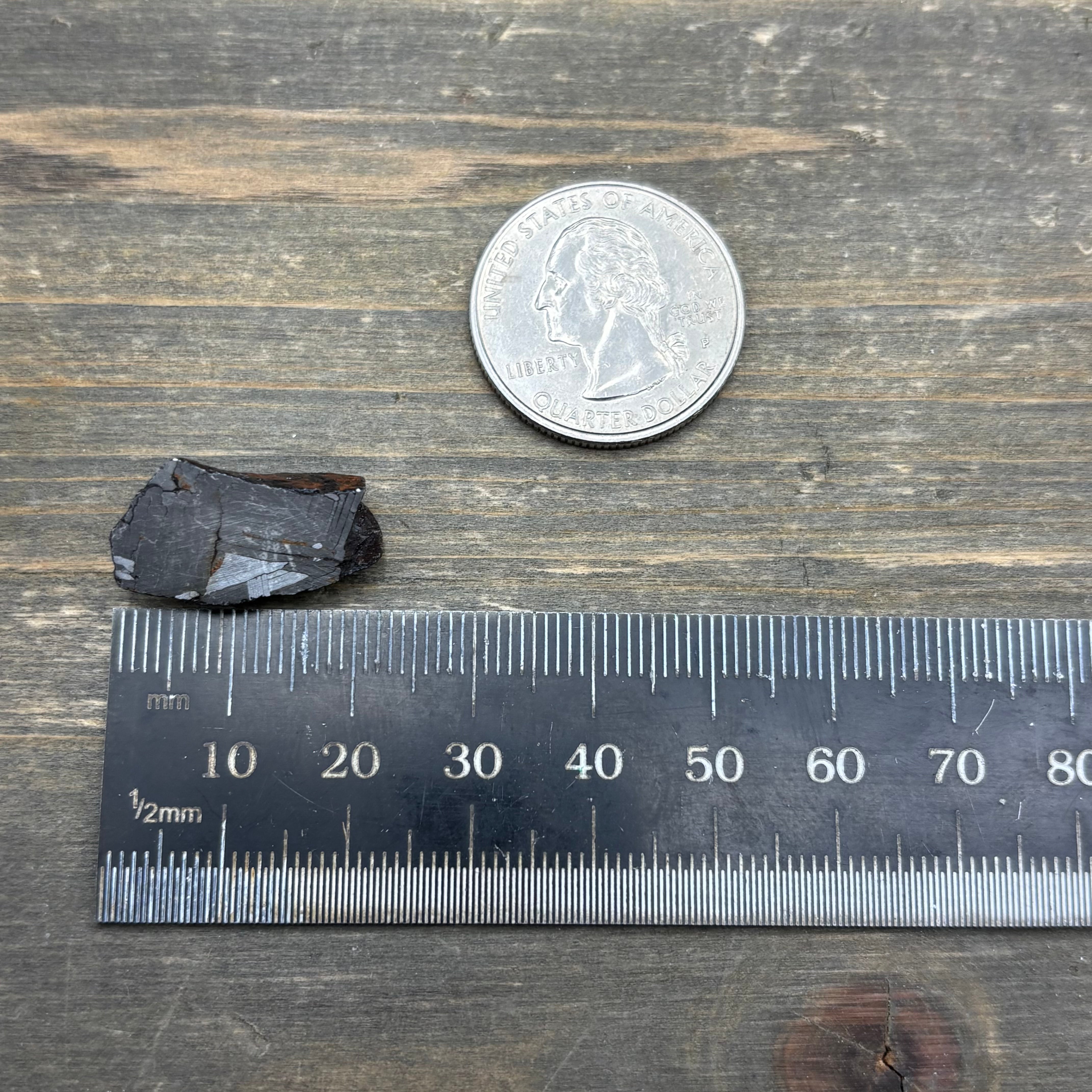 Meteorite, Half-Polished - 004
