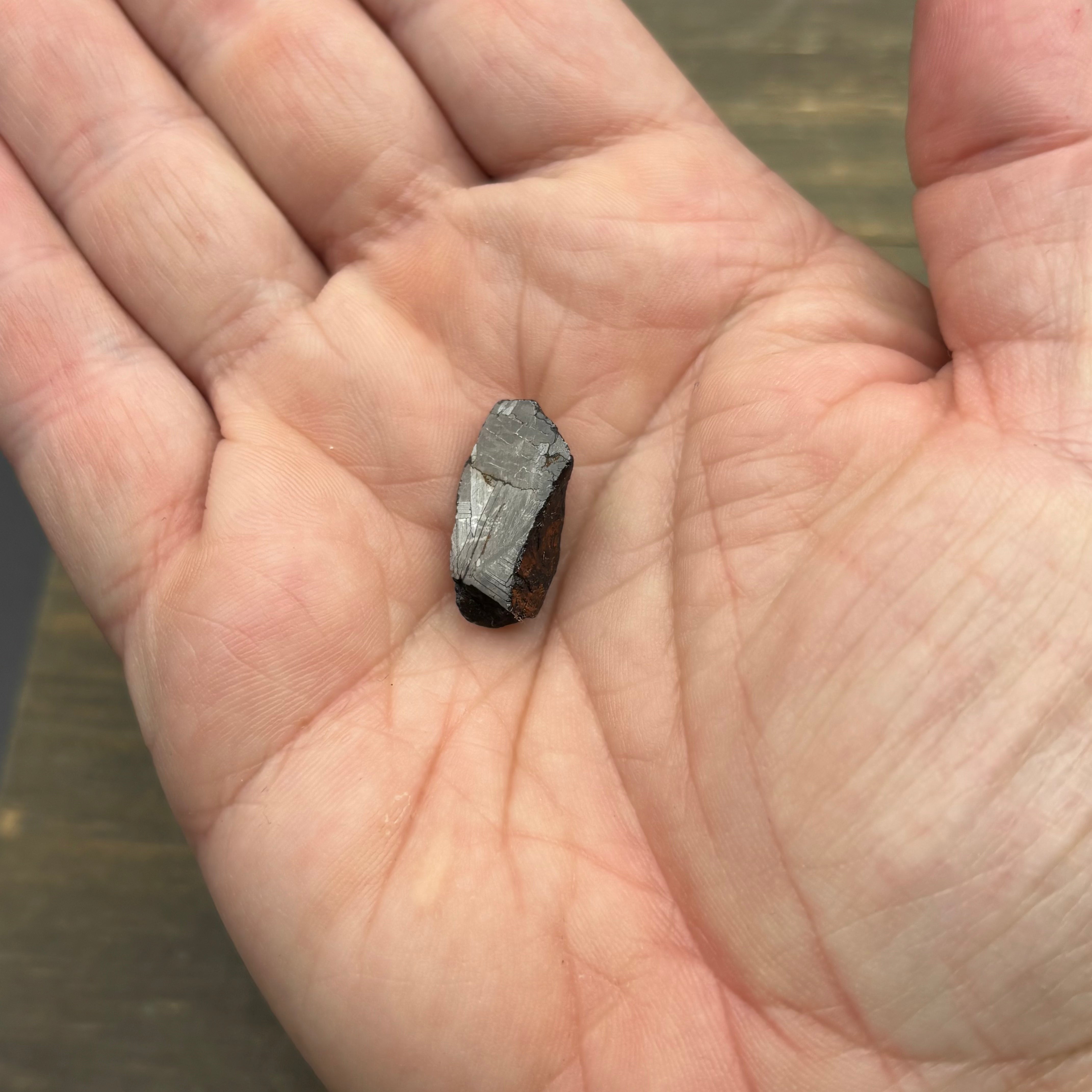 Meteorite, Half-Polished - 004