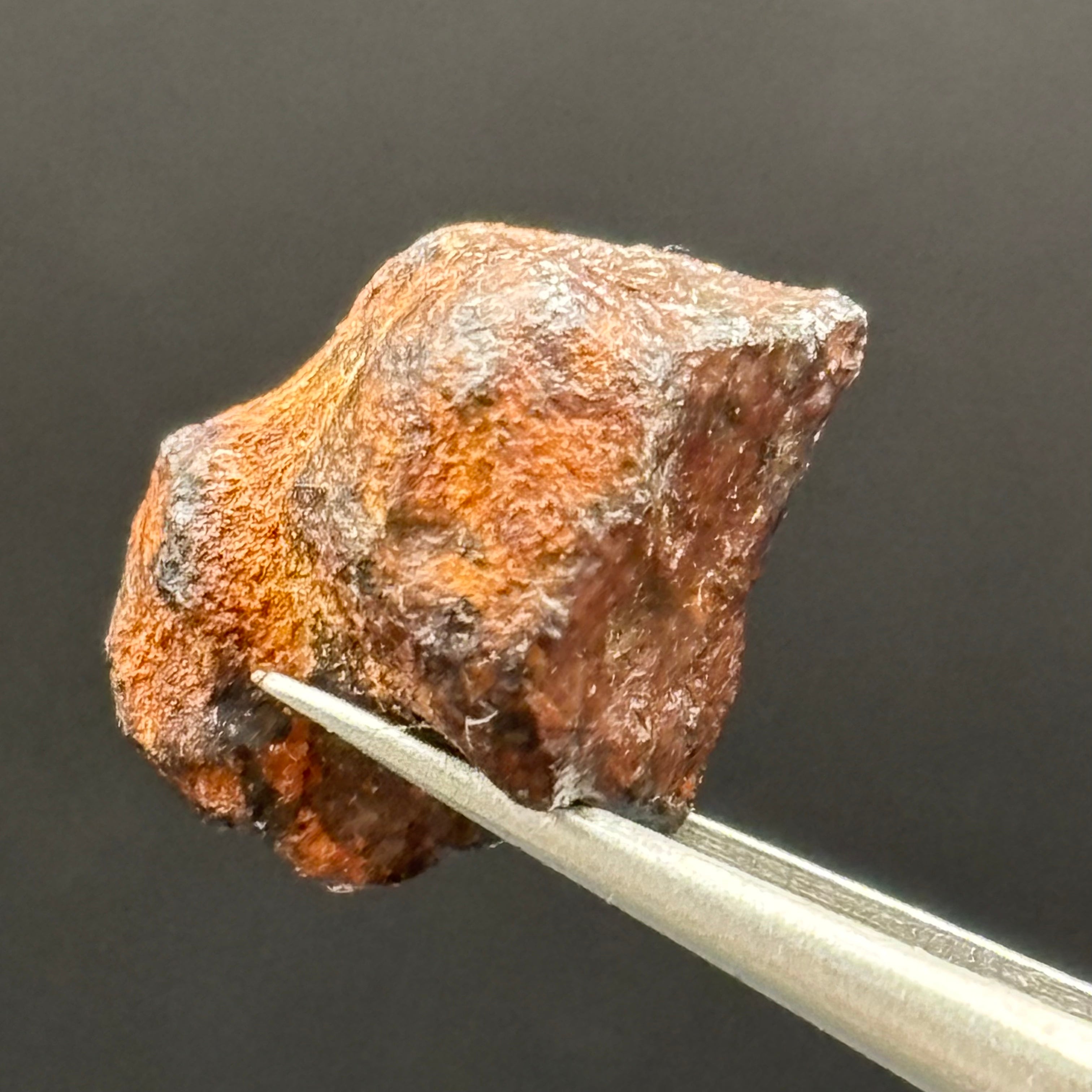 Meteorite, Half-Polished - 005