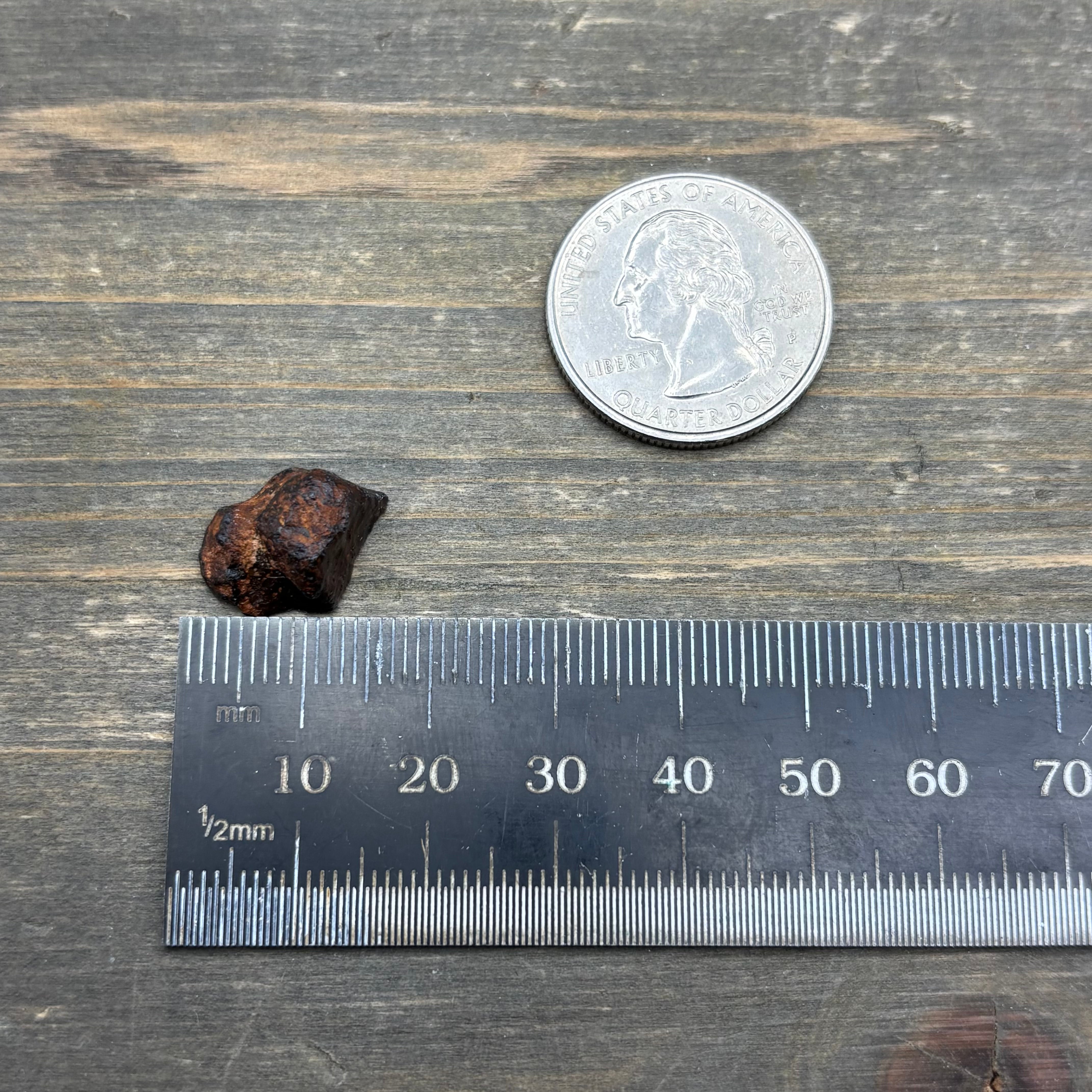 Meteorite, Half-Polished - 005