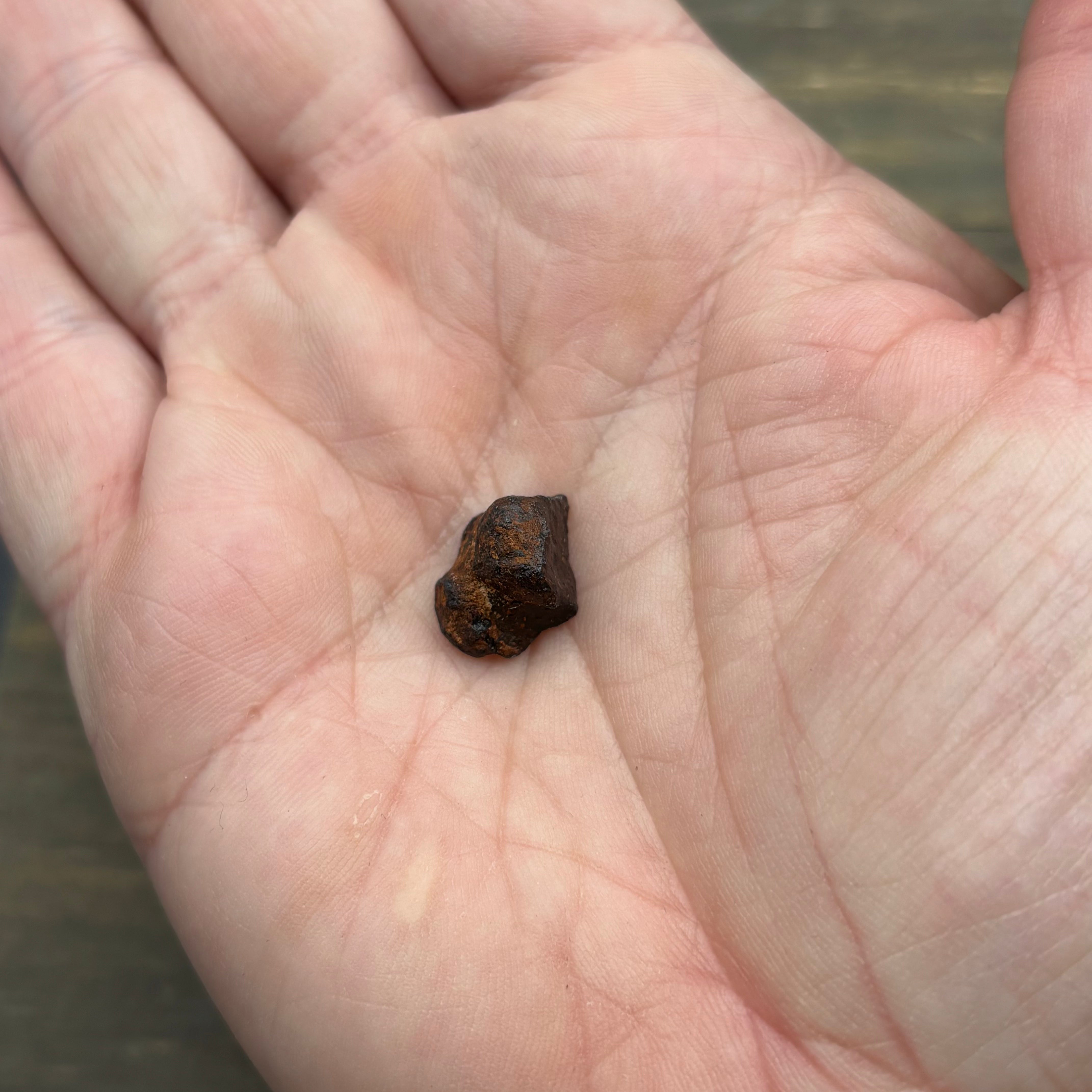Meteorite, Half-Polished - 005