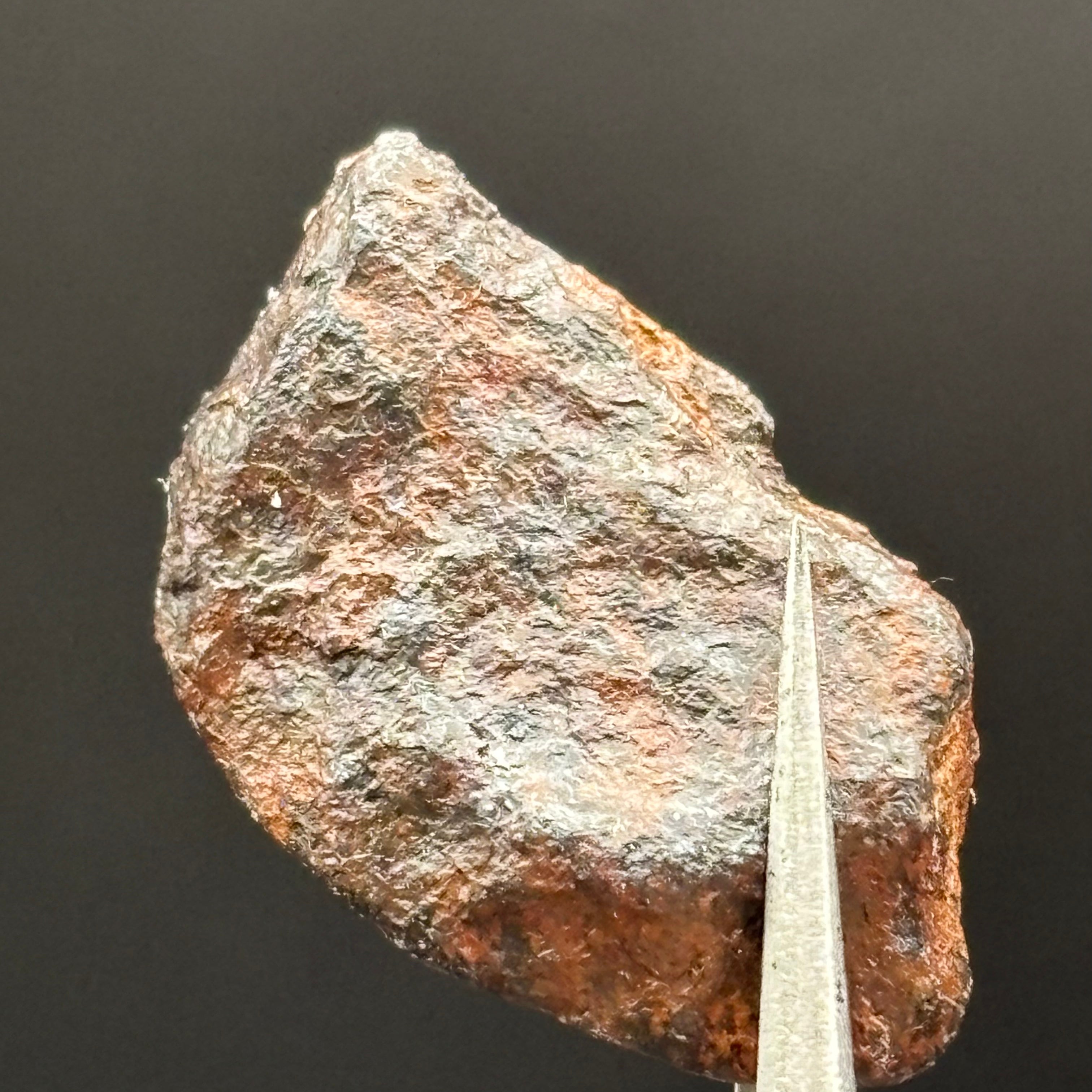 Meteorite, Half-Polished - 006