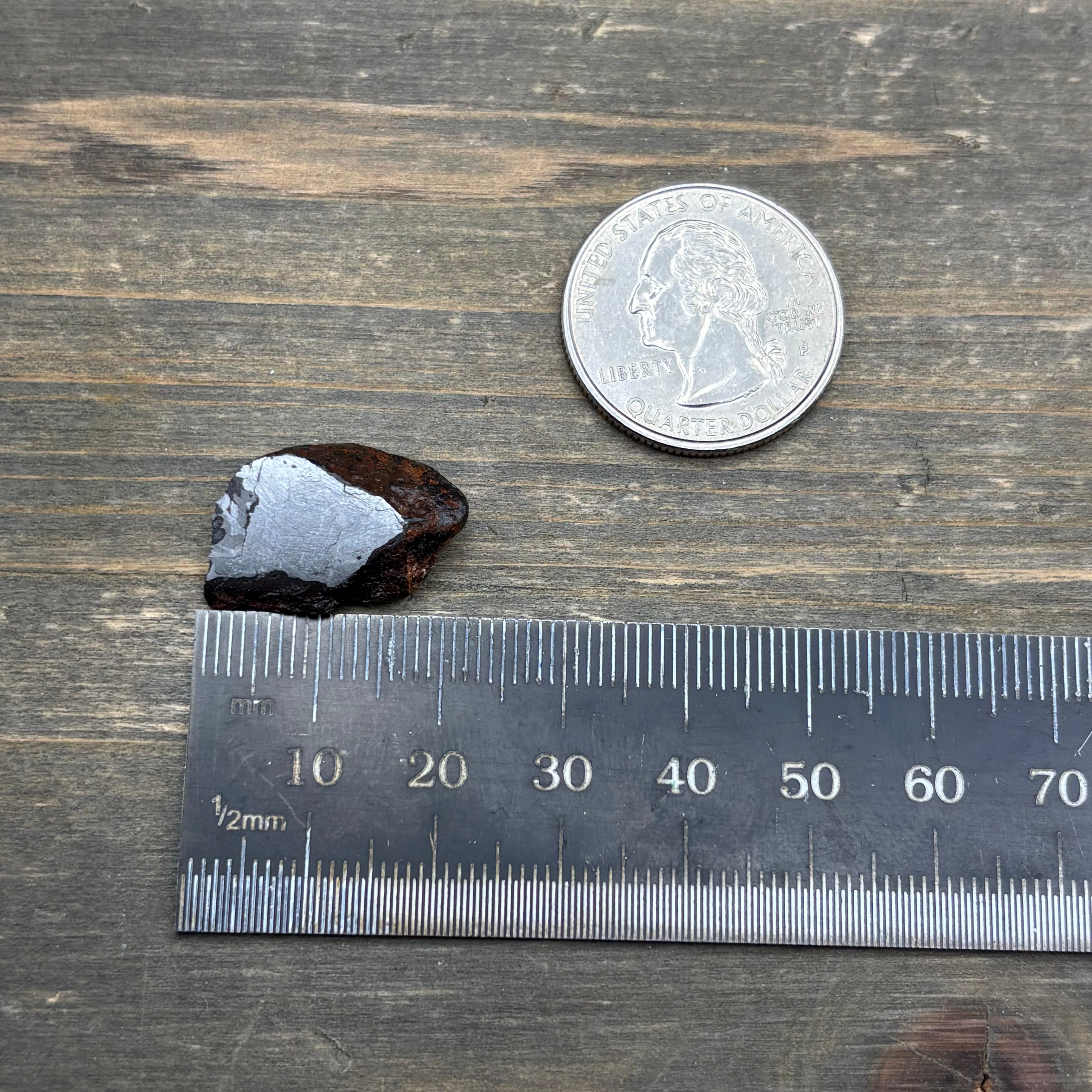 Meteorite, Half-Polished - 006