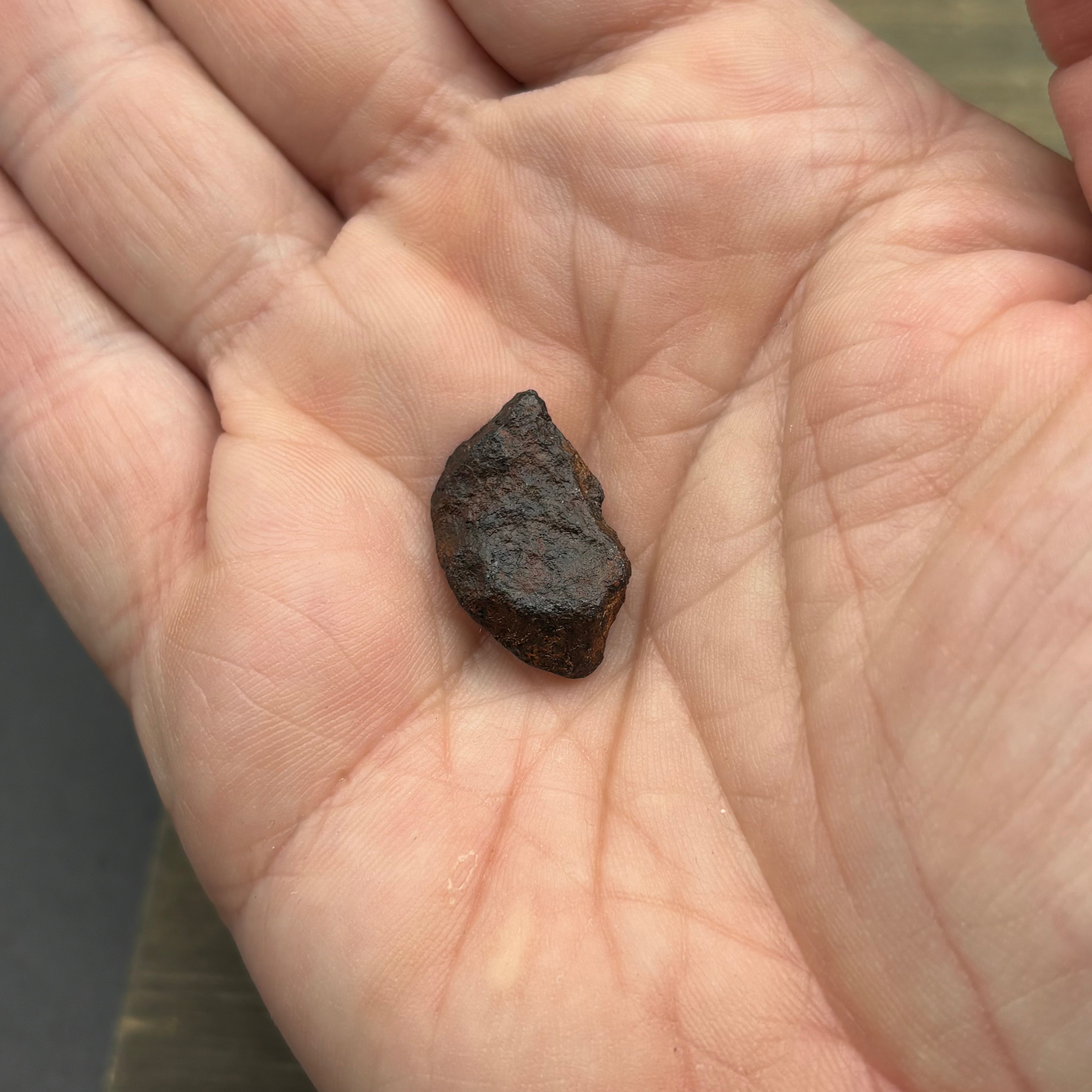 Meteorite, Half-Polished - 006