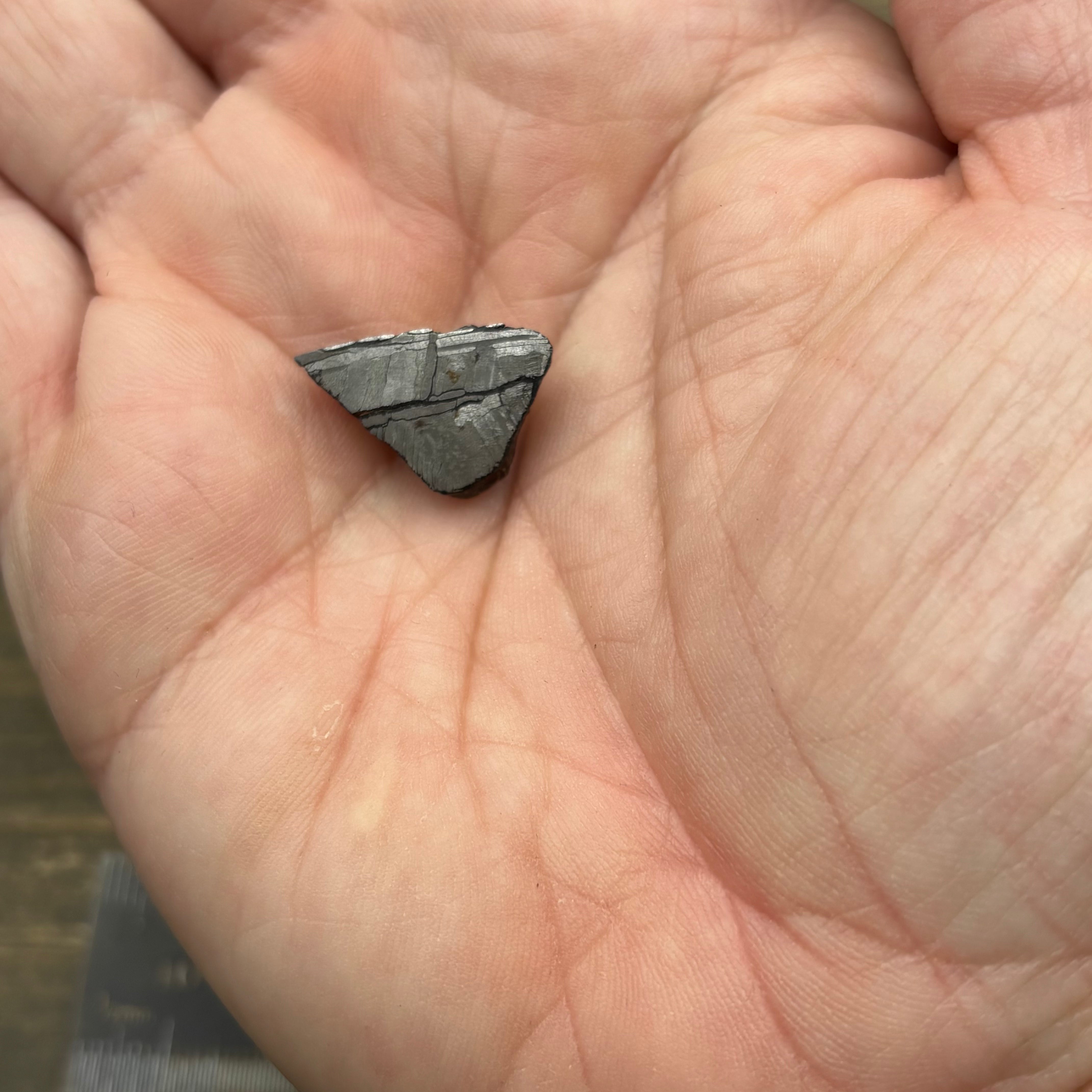 Meteorite, Half-Polished - 007