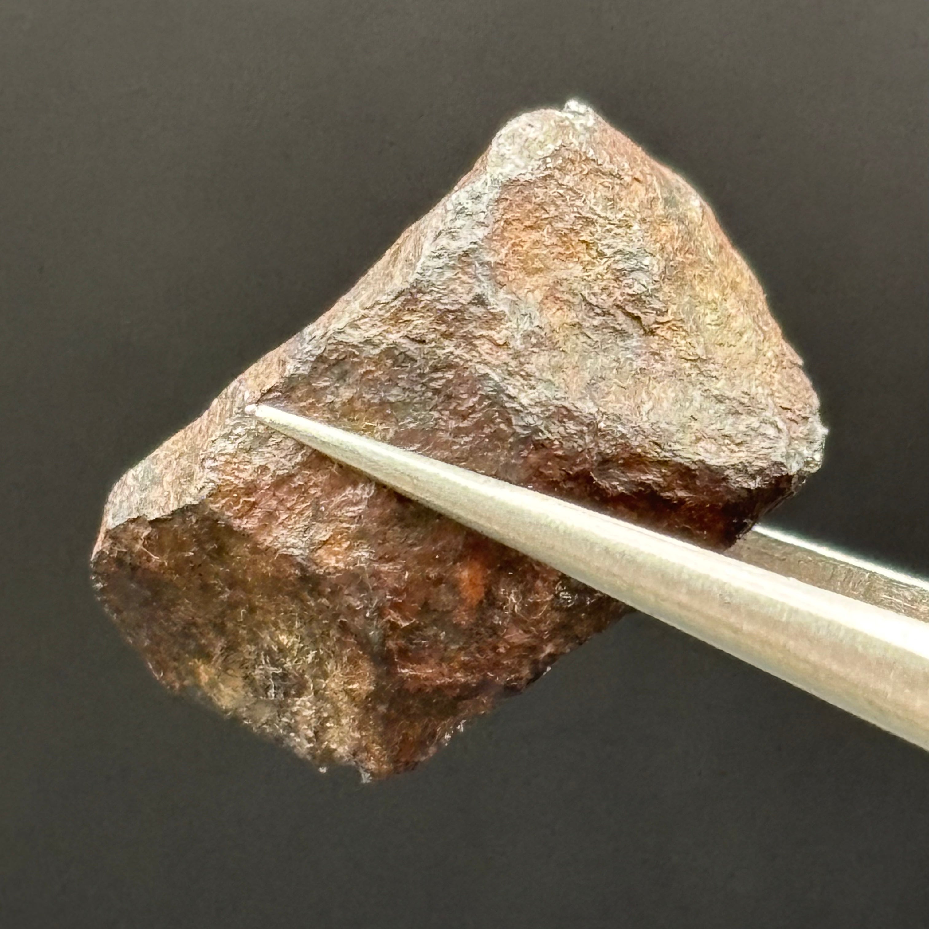 Meteorite, Half-Polished - 008