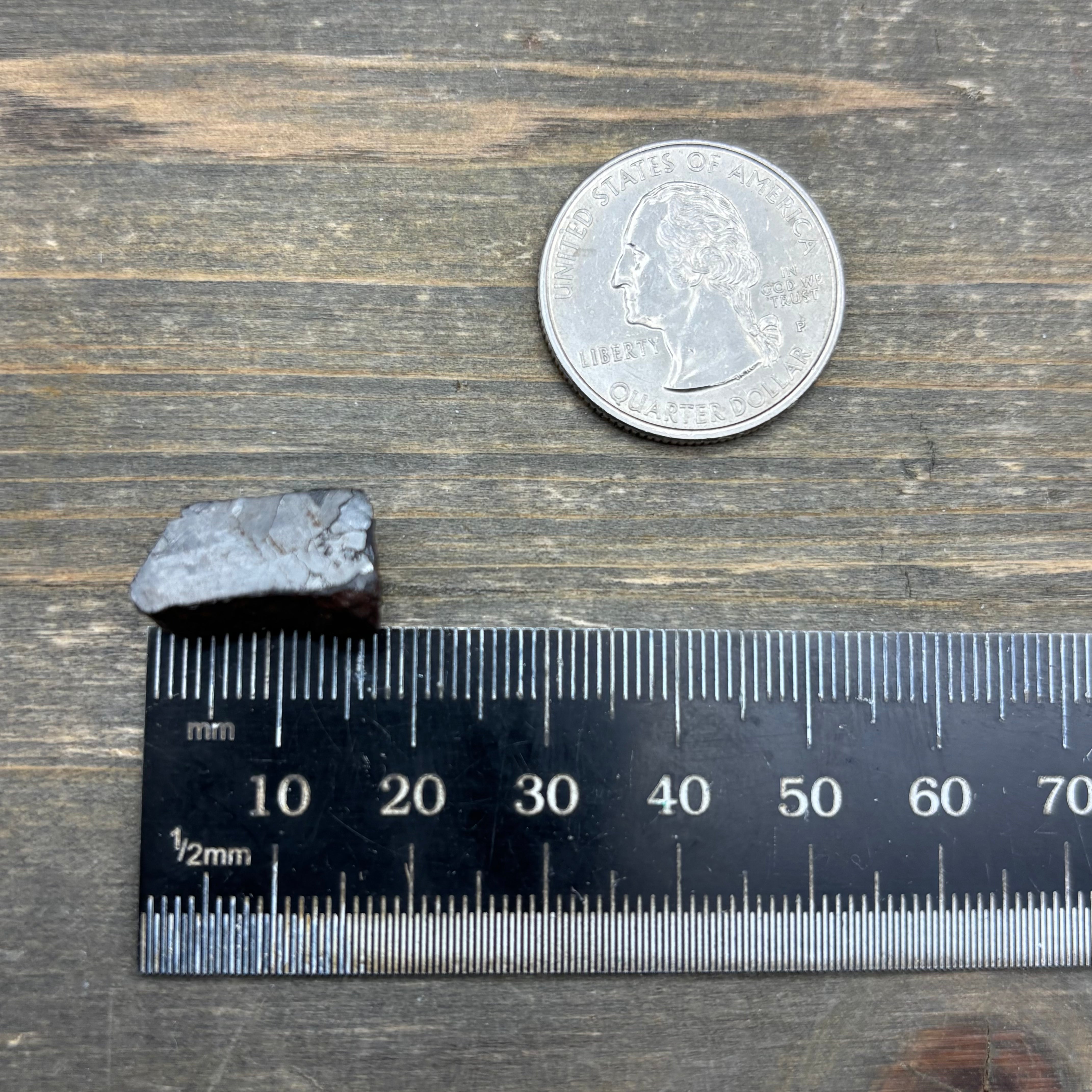 Meteorite, Half-Polished - 008
