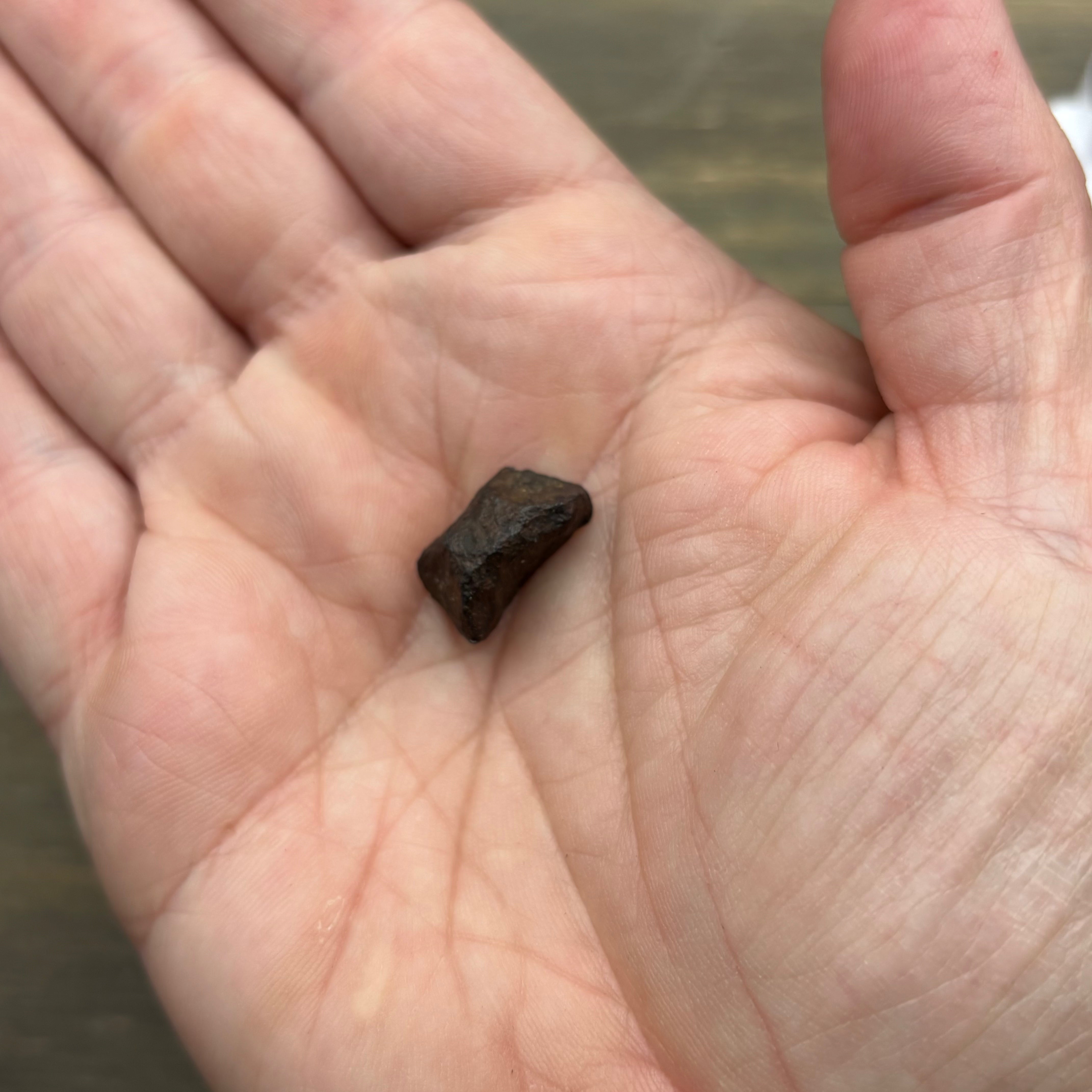 Meteorite, Half-Polished - 008