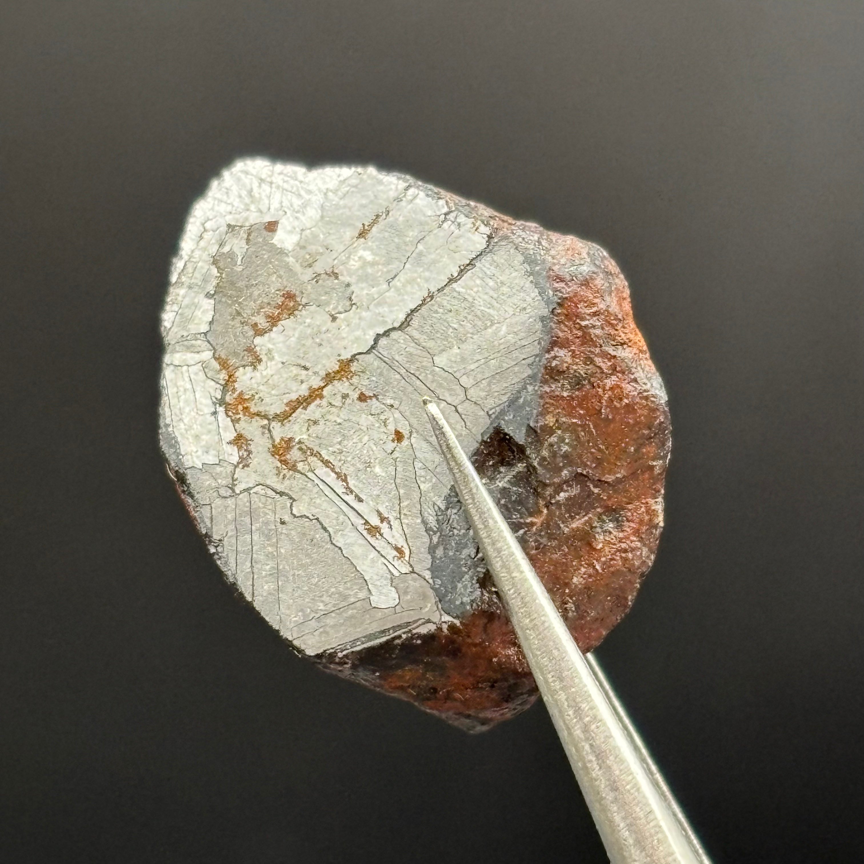 Meteorite, Half-Polished - 009