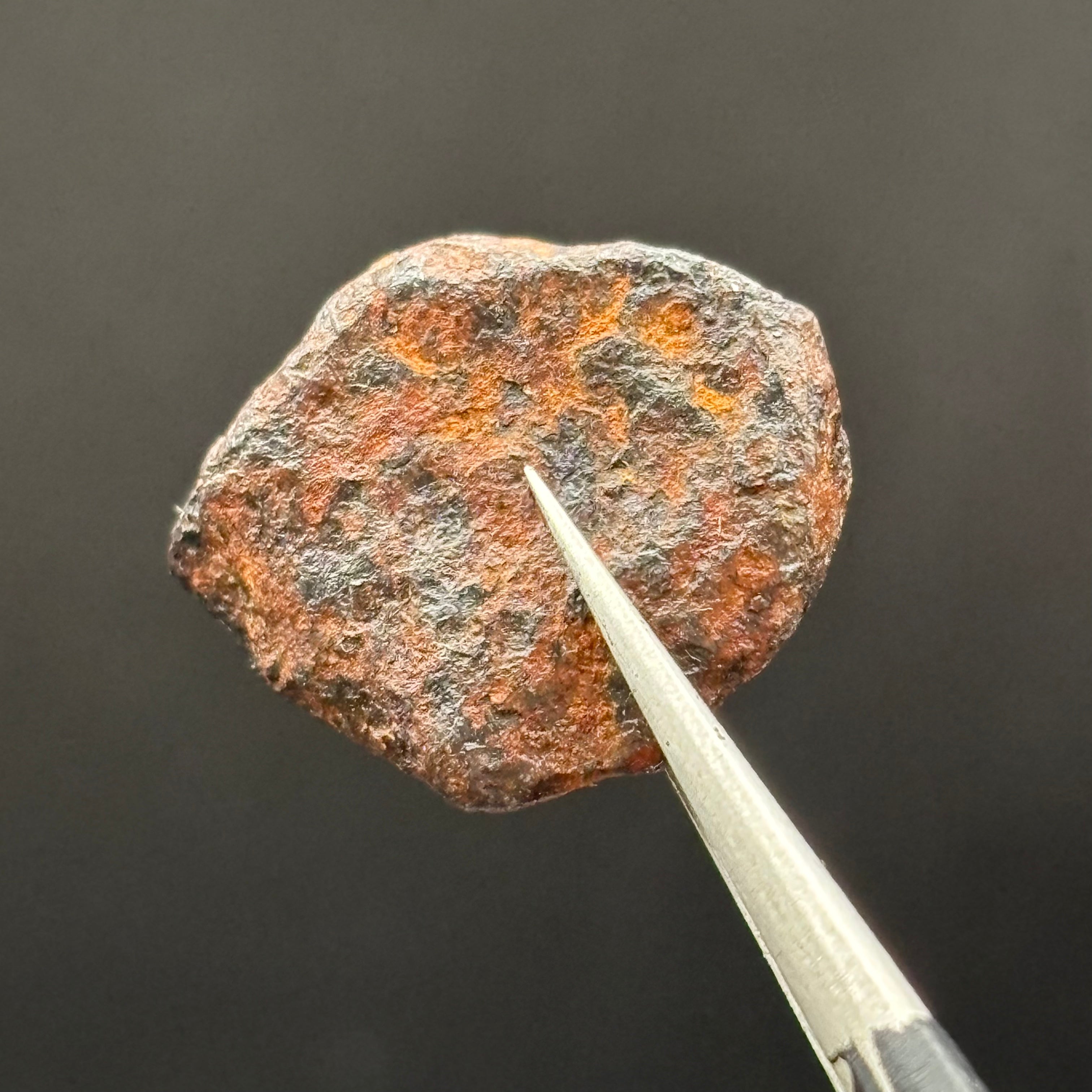 Meteorite, Half-Polished - 009