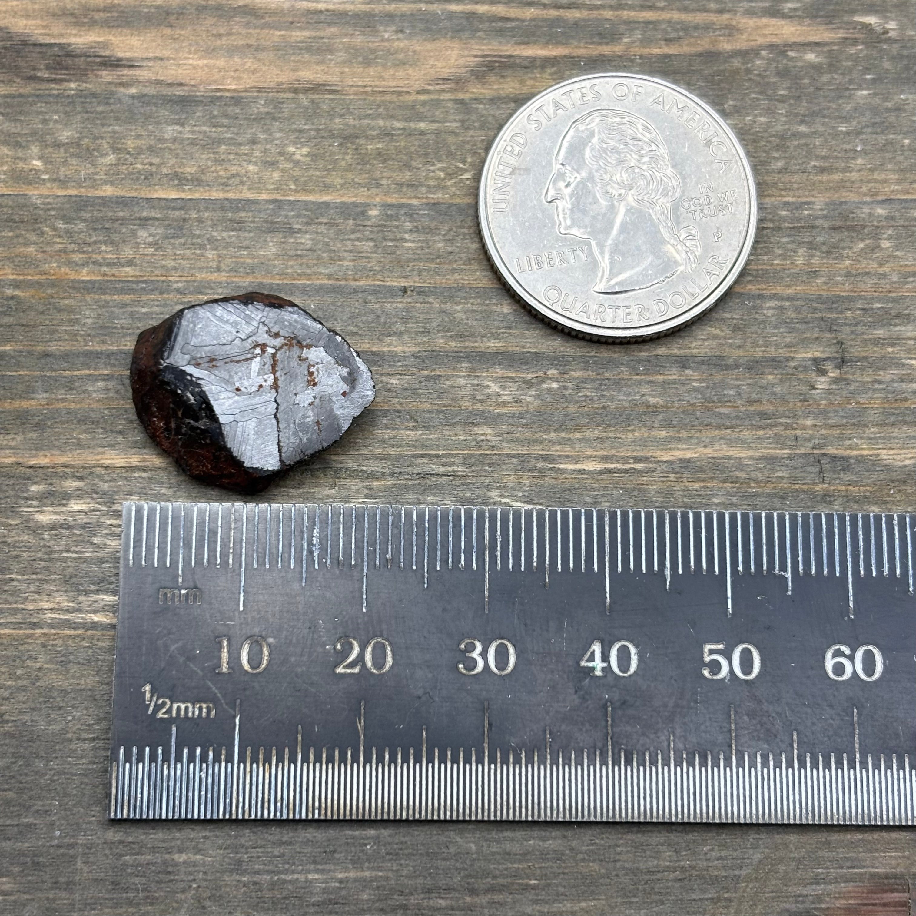 Meteorite, Half-Polished - 009