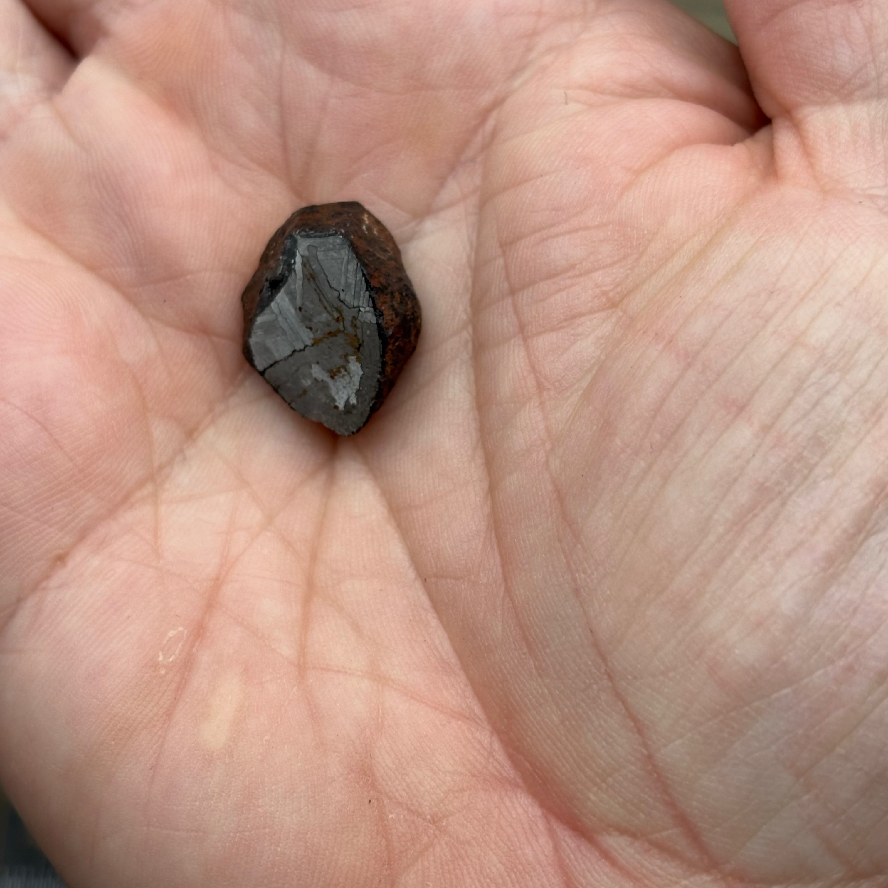 Meteorite, Half-Polished - 009
