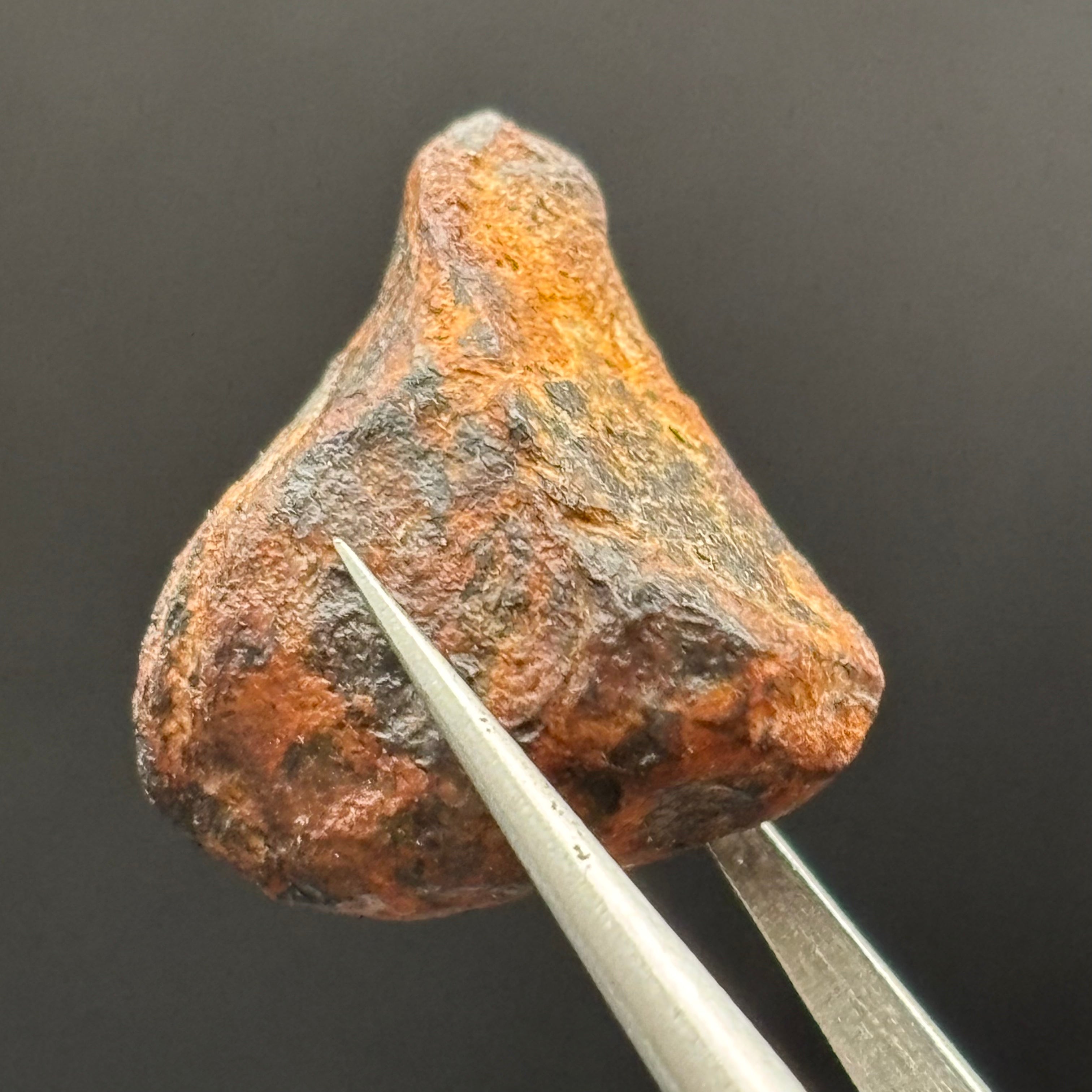 Meteorite, Half-Polished - 010