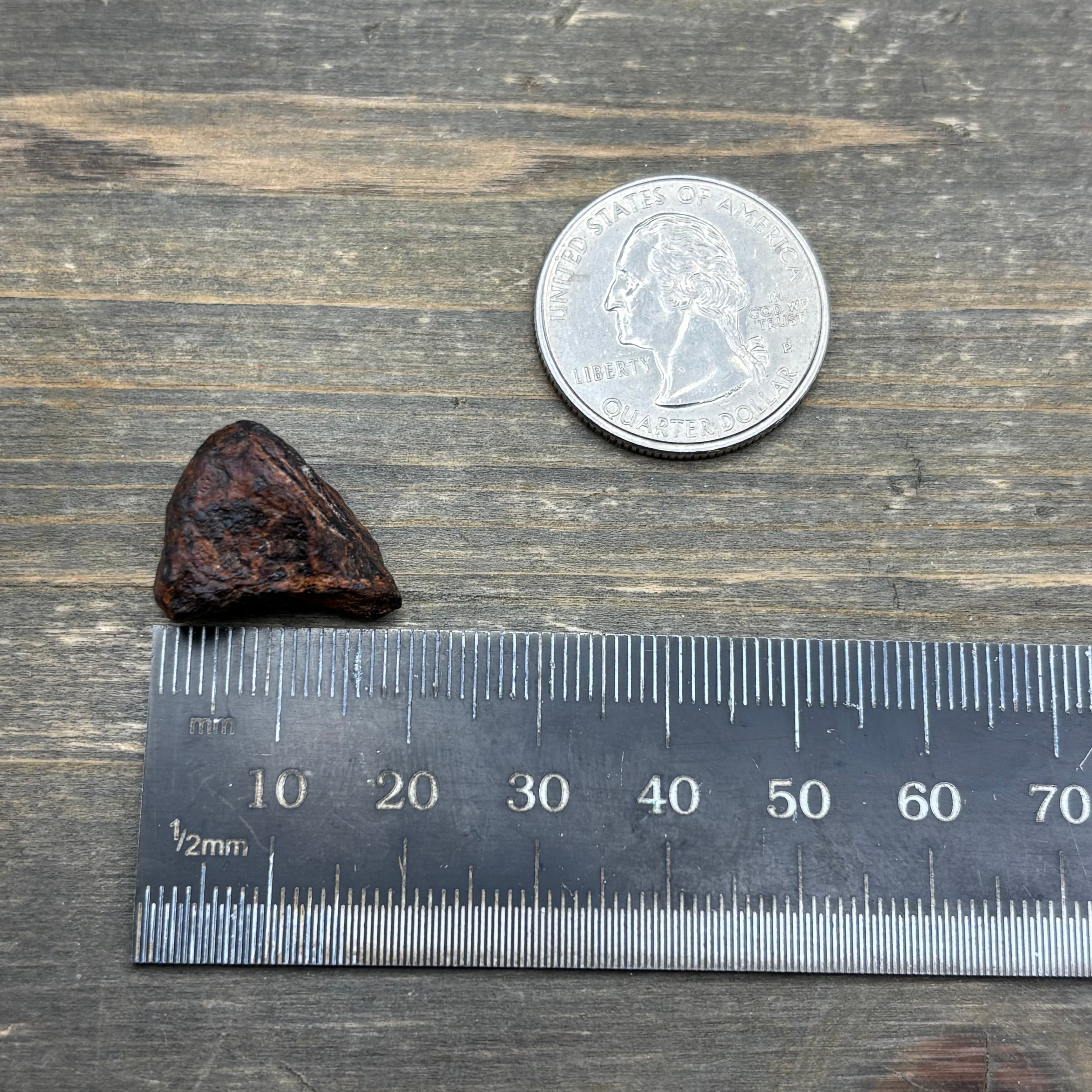 Meteorite, Half-Polished - 010