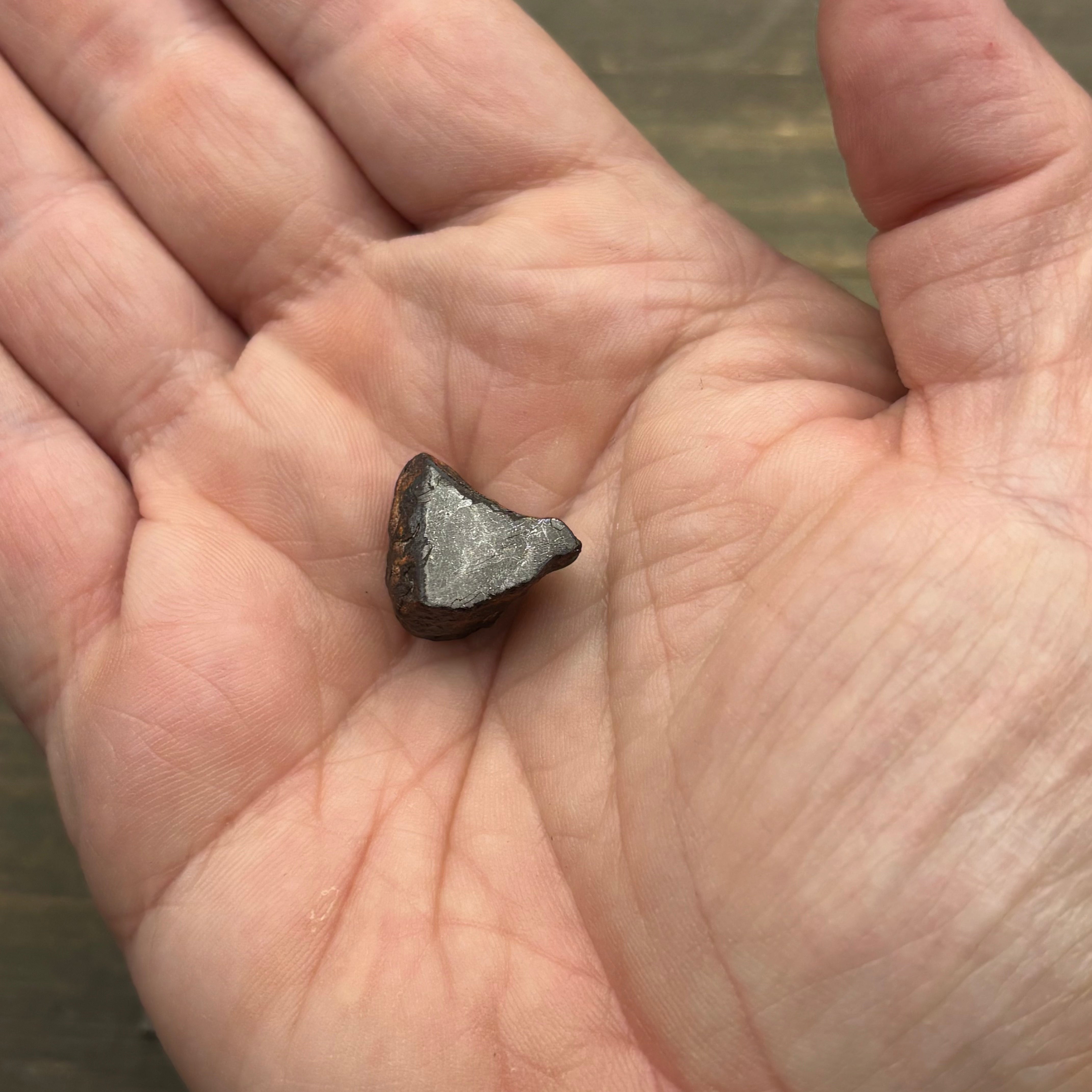 Meteorite, Half-Polished - 010