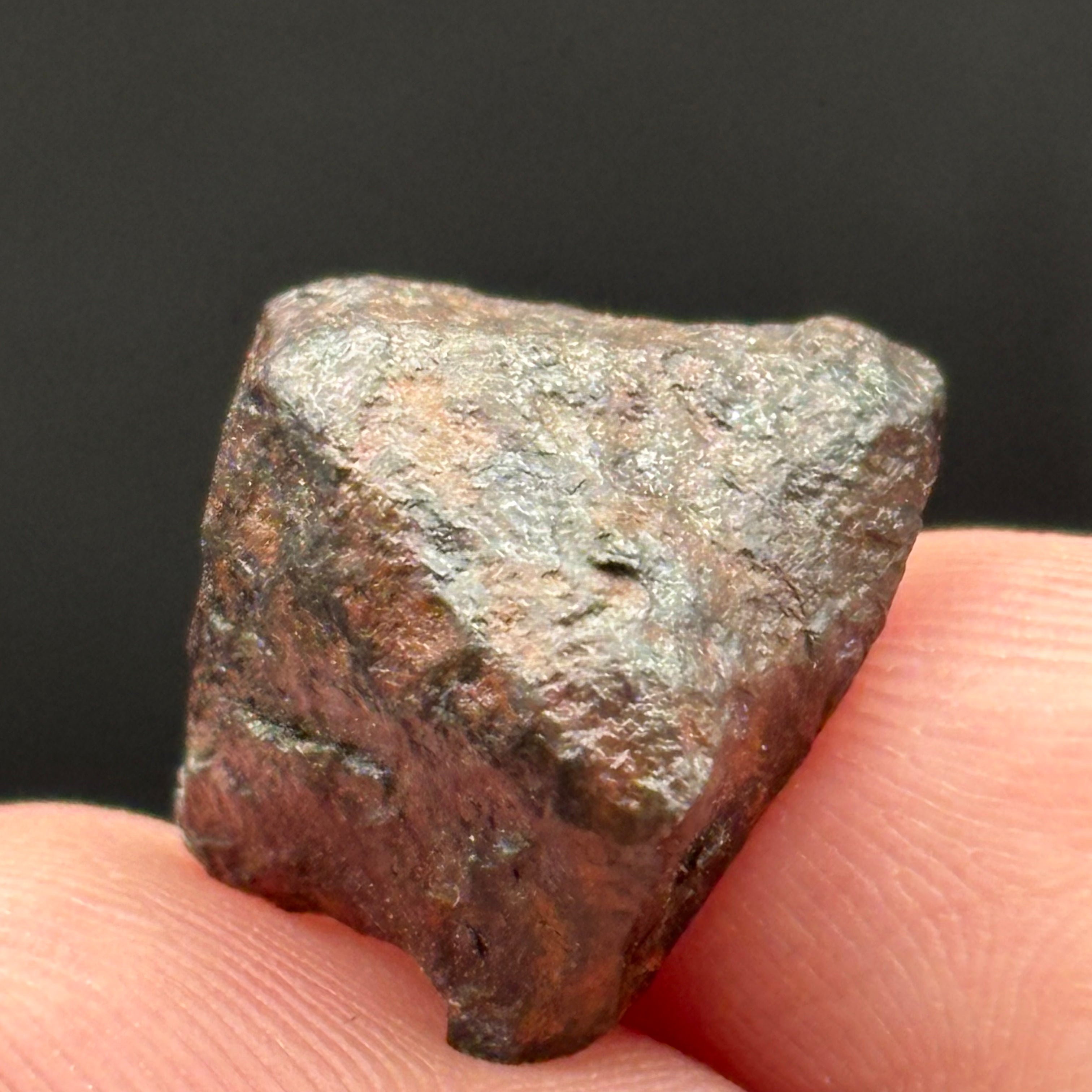 Meteorite, Half-Polished - 011