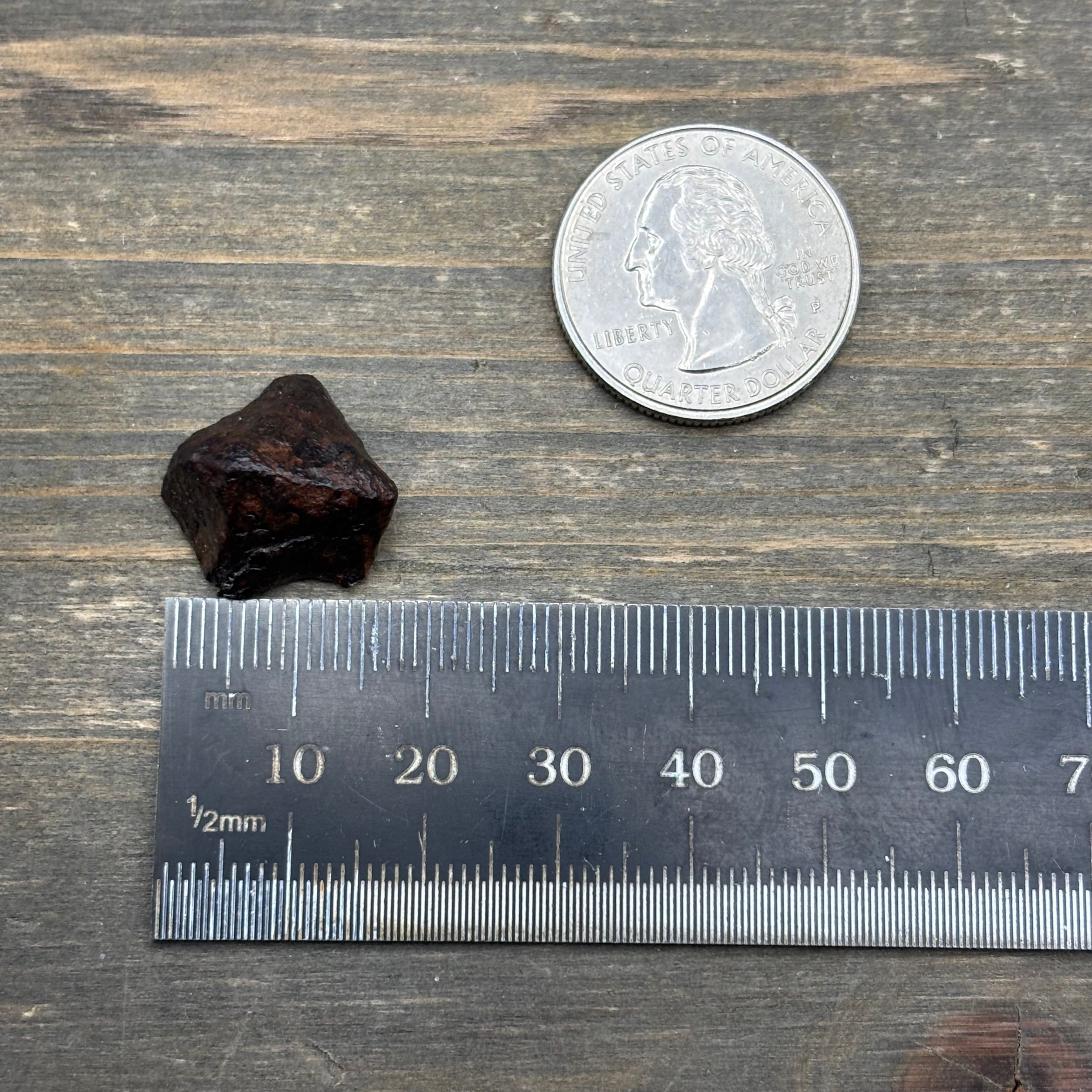 Meteorite, Half-Polished - 011