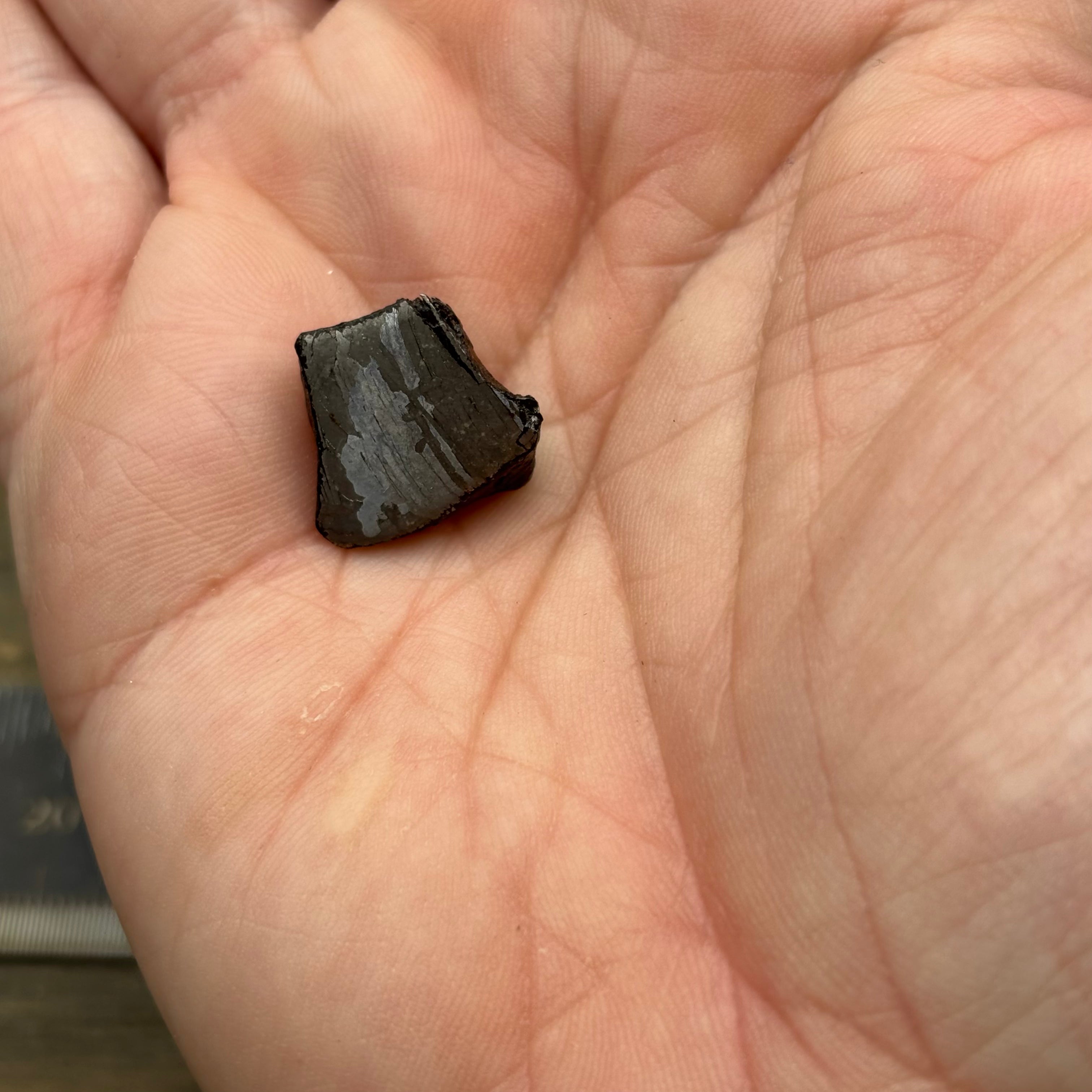 Meteorite, Half-Polished - 011
