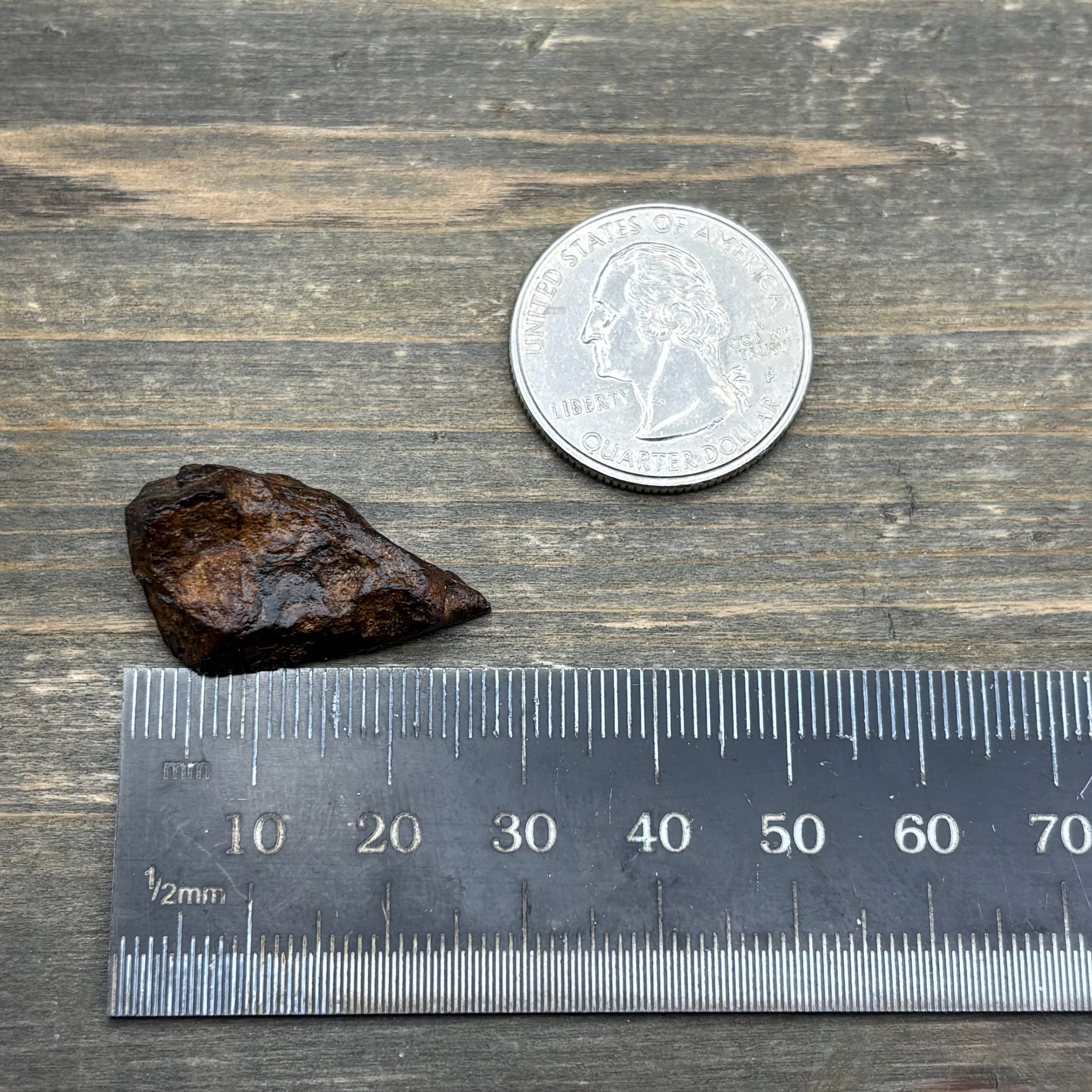 Meteorite, Half-Polished - 012