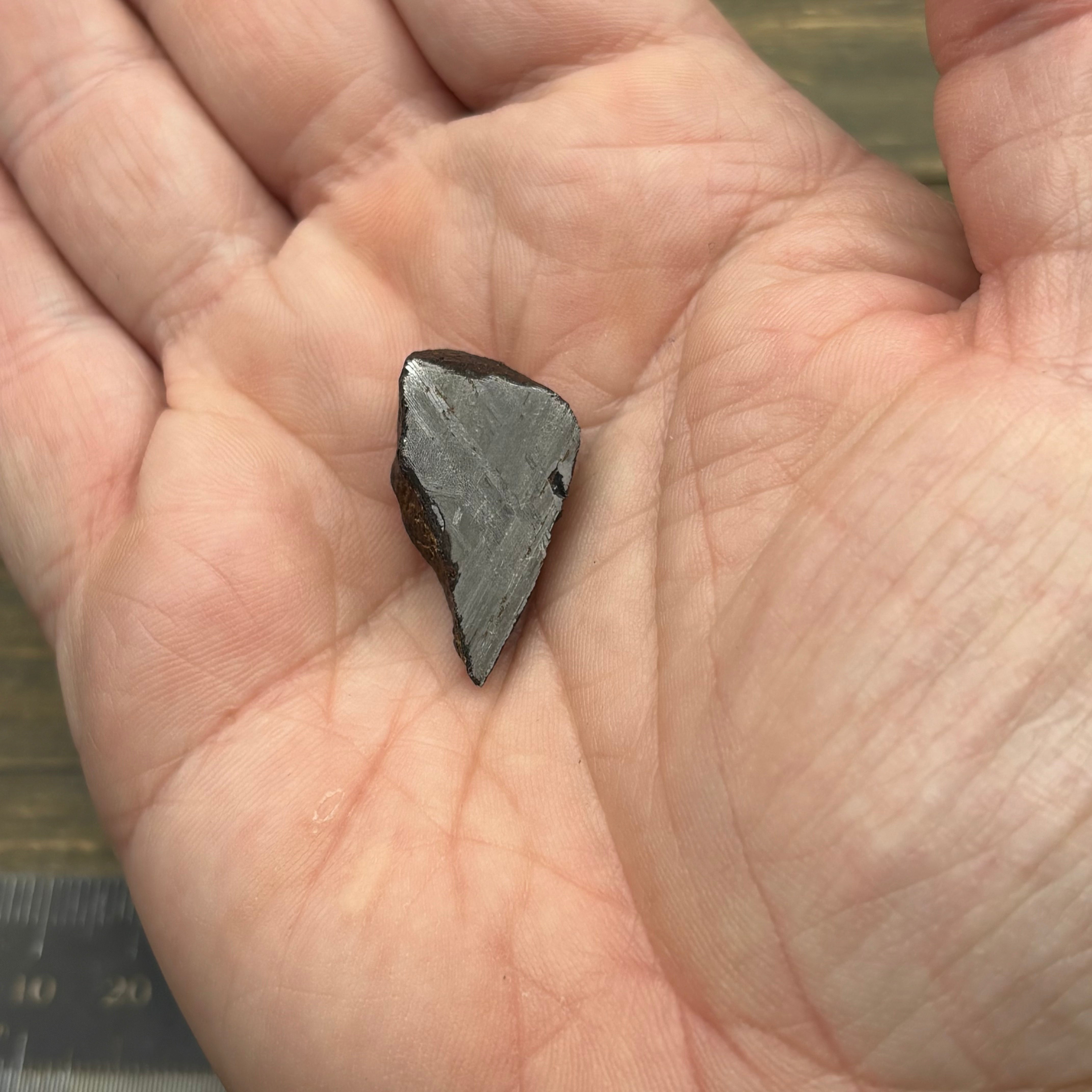 Meteorite, Half-Polished - 012