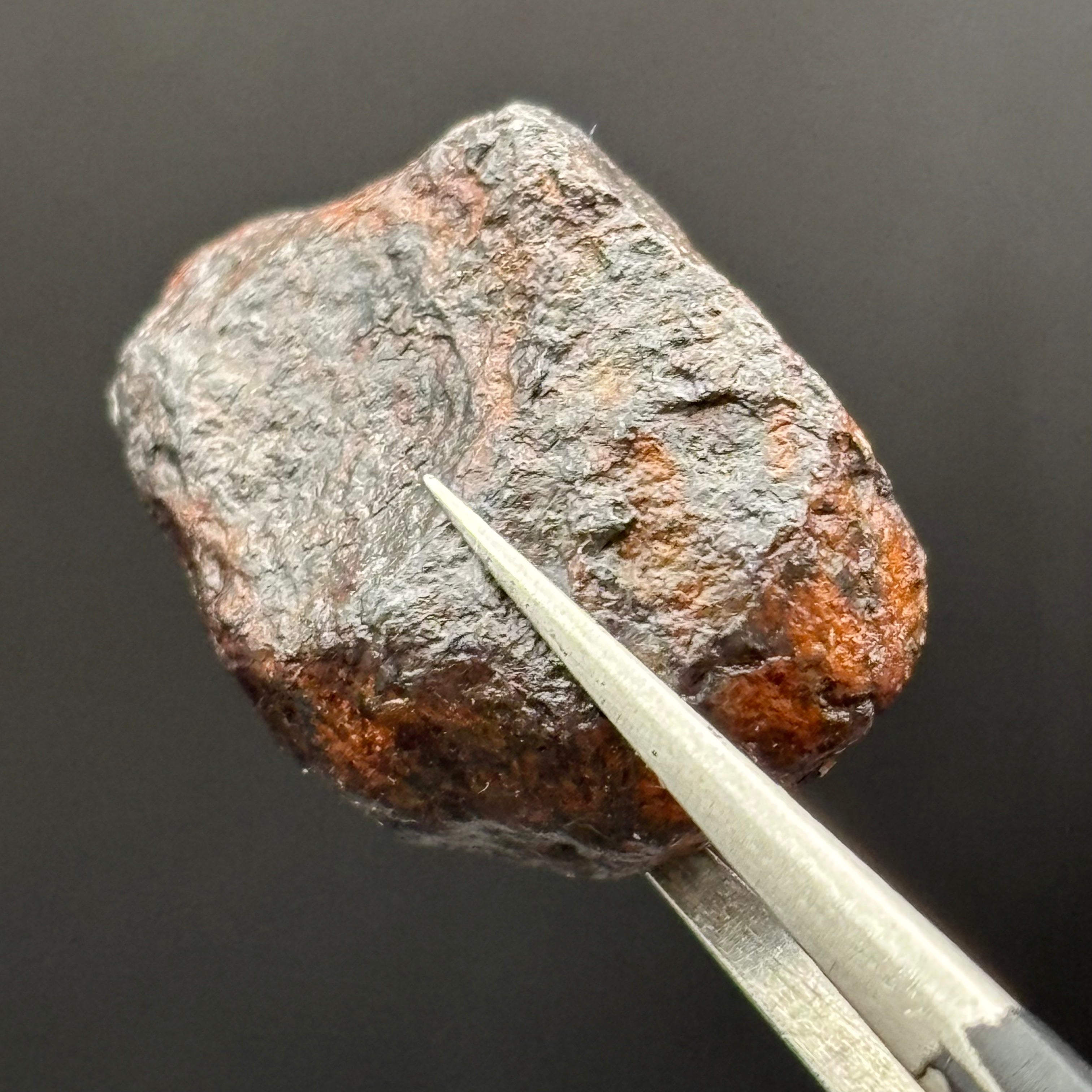 Meteorite, Half-Polished - 013