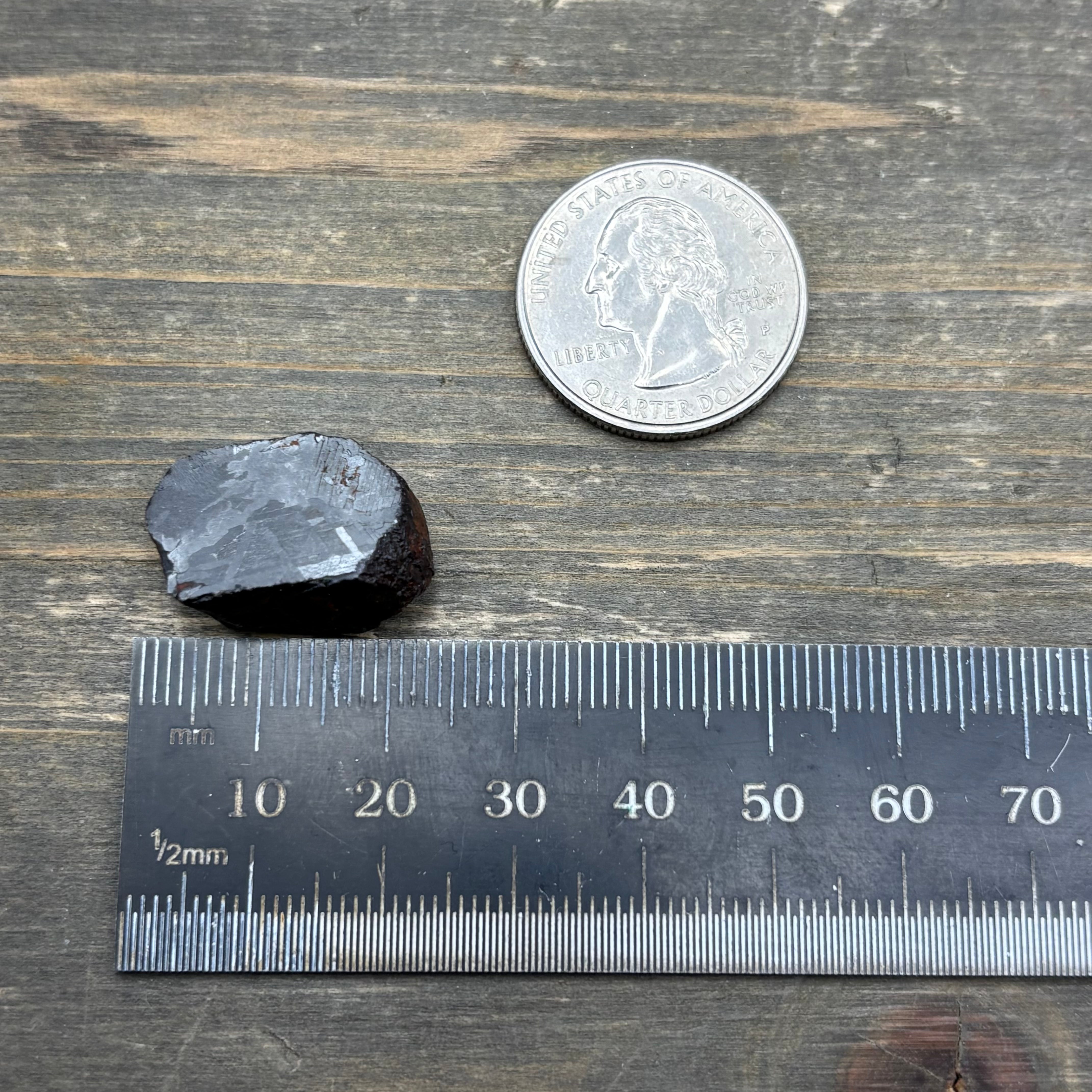Meteorite, Half-Polished - 013
