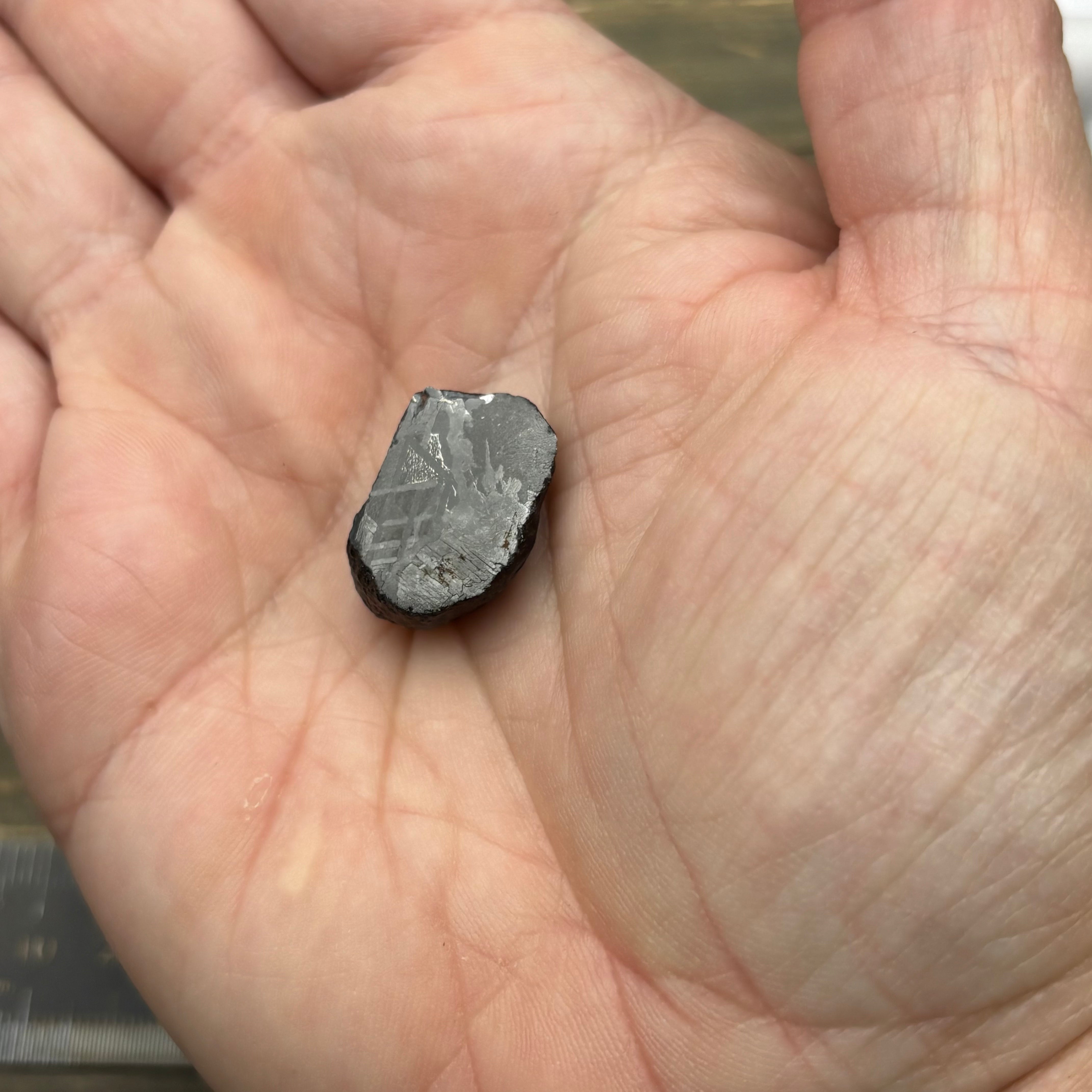 Meteorite, Half-Polished - 013