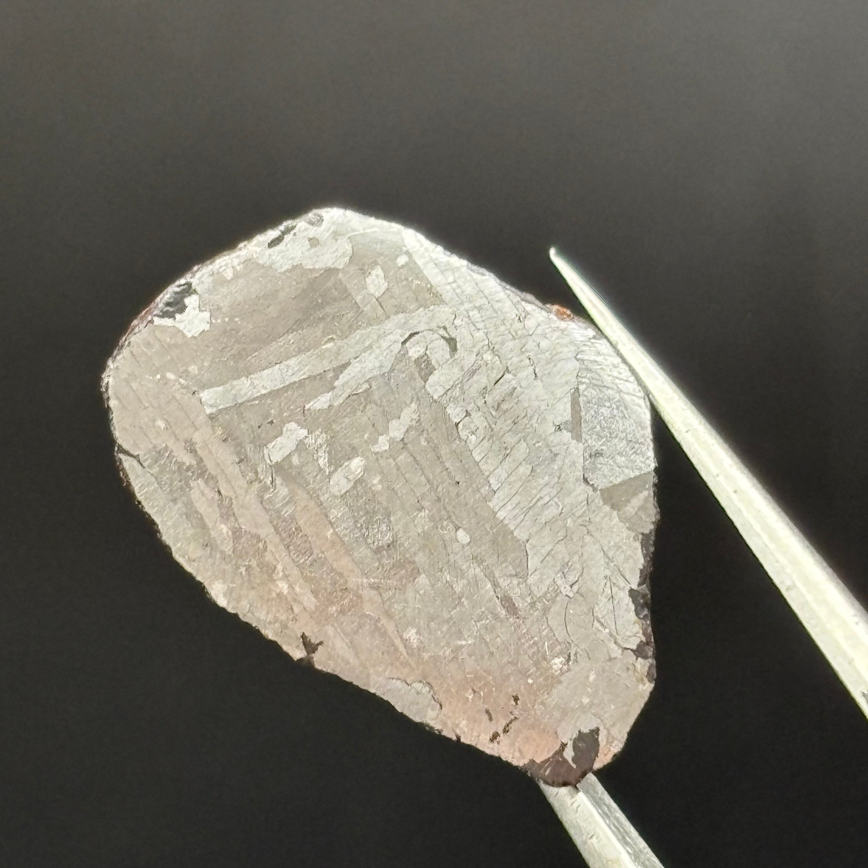 Meteorite, Half-Polished - 014