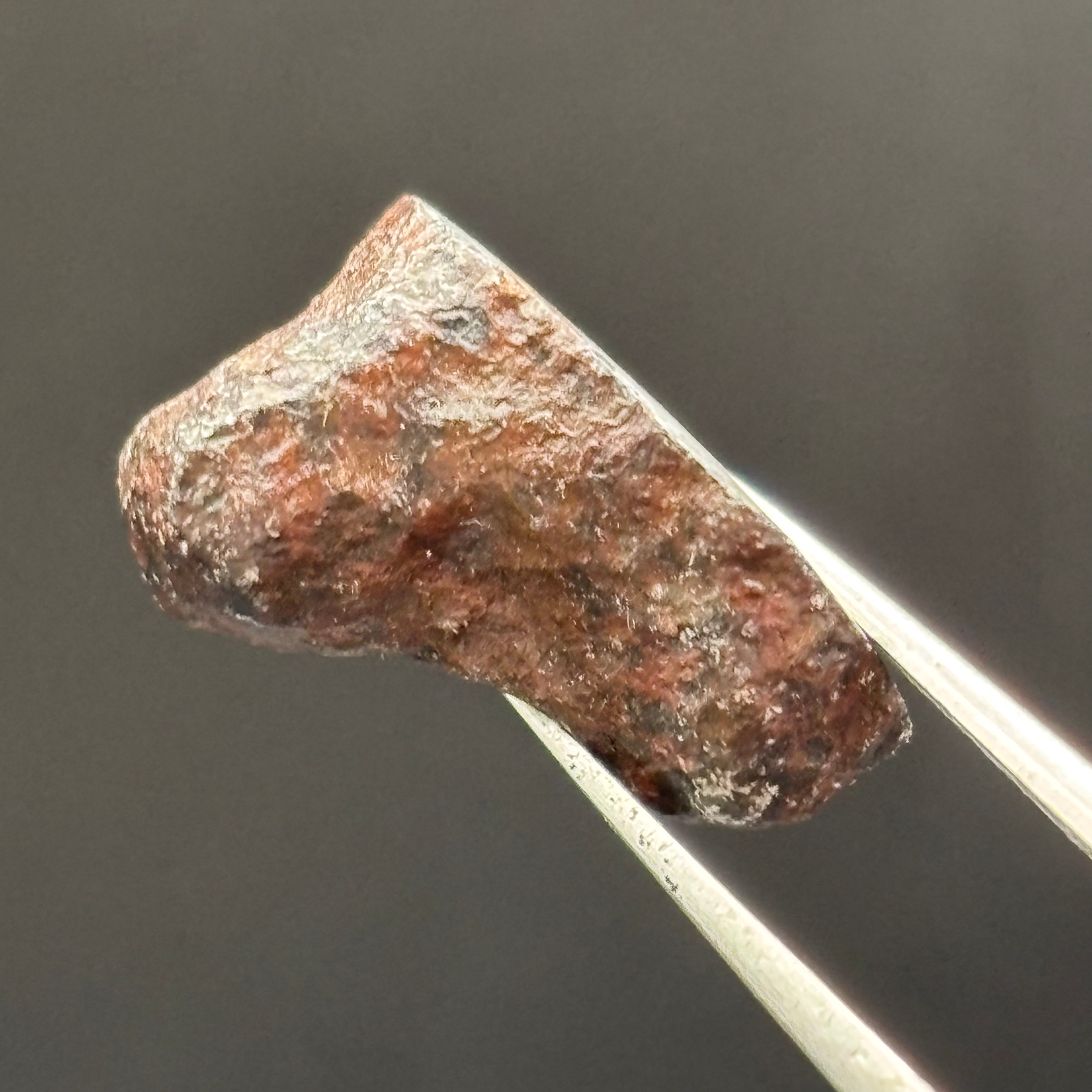 Meteorite, Half-Polished - 014