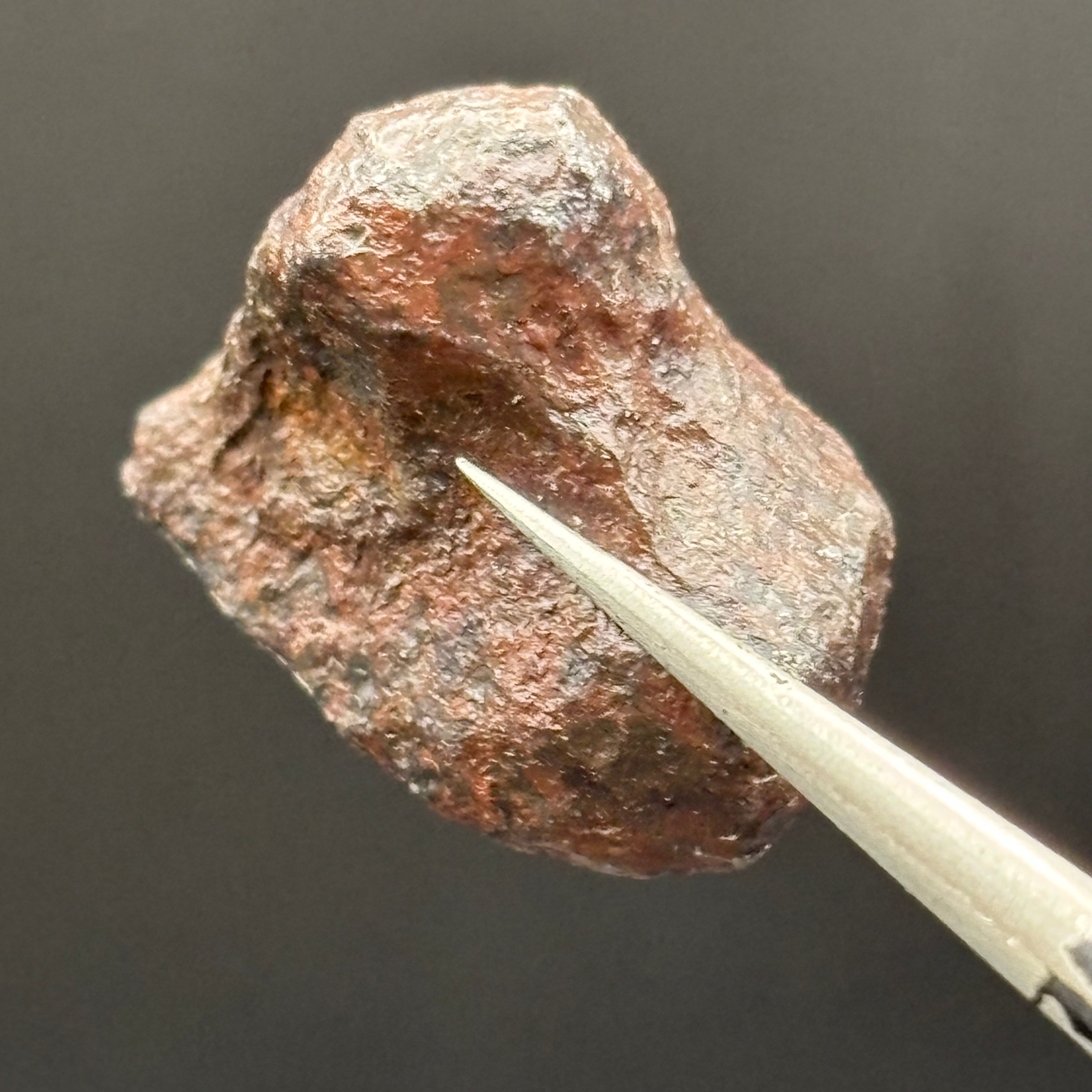 Meteorite, Half-Polished - 014