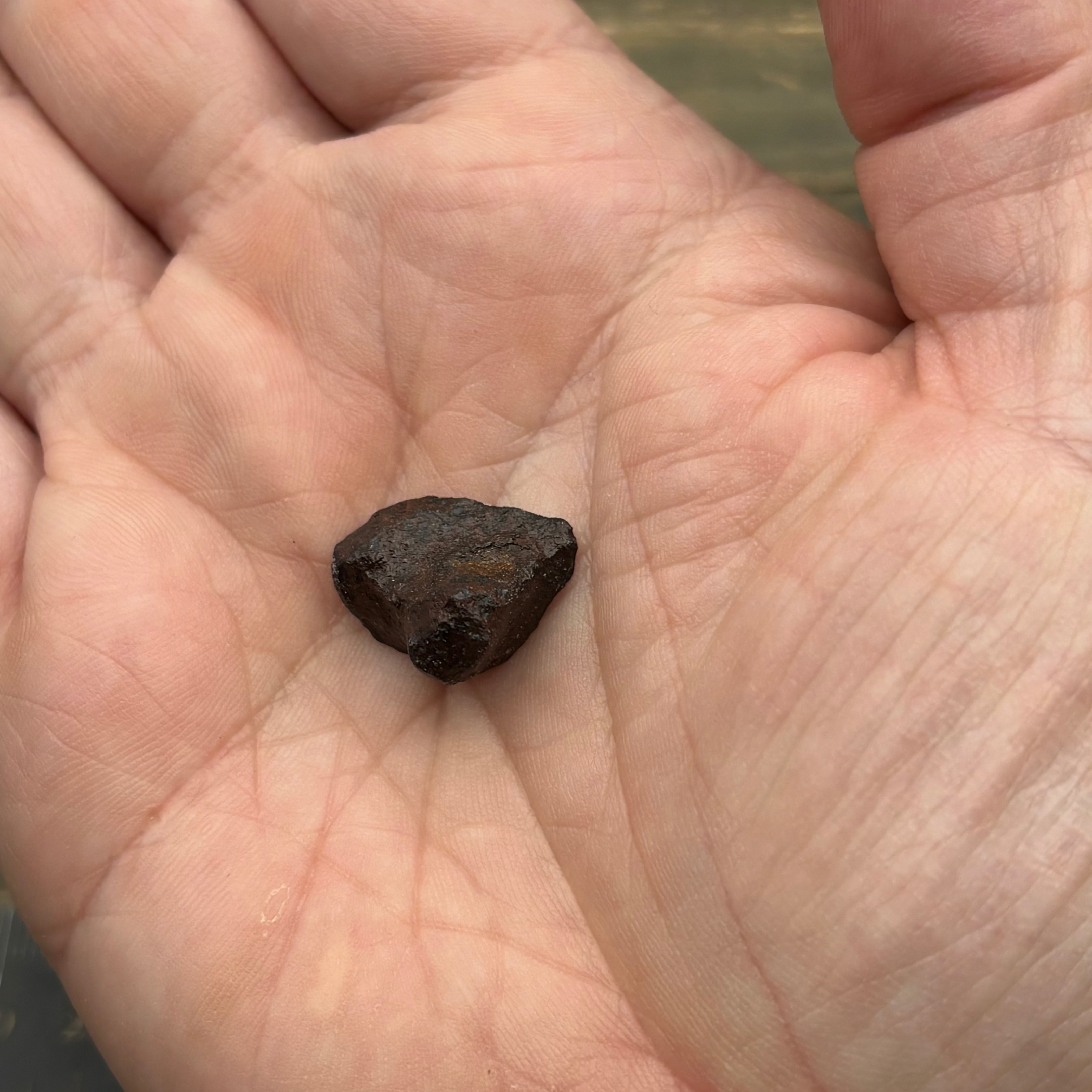 Meteorite, Half-Polished - 014