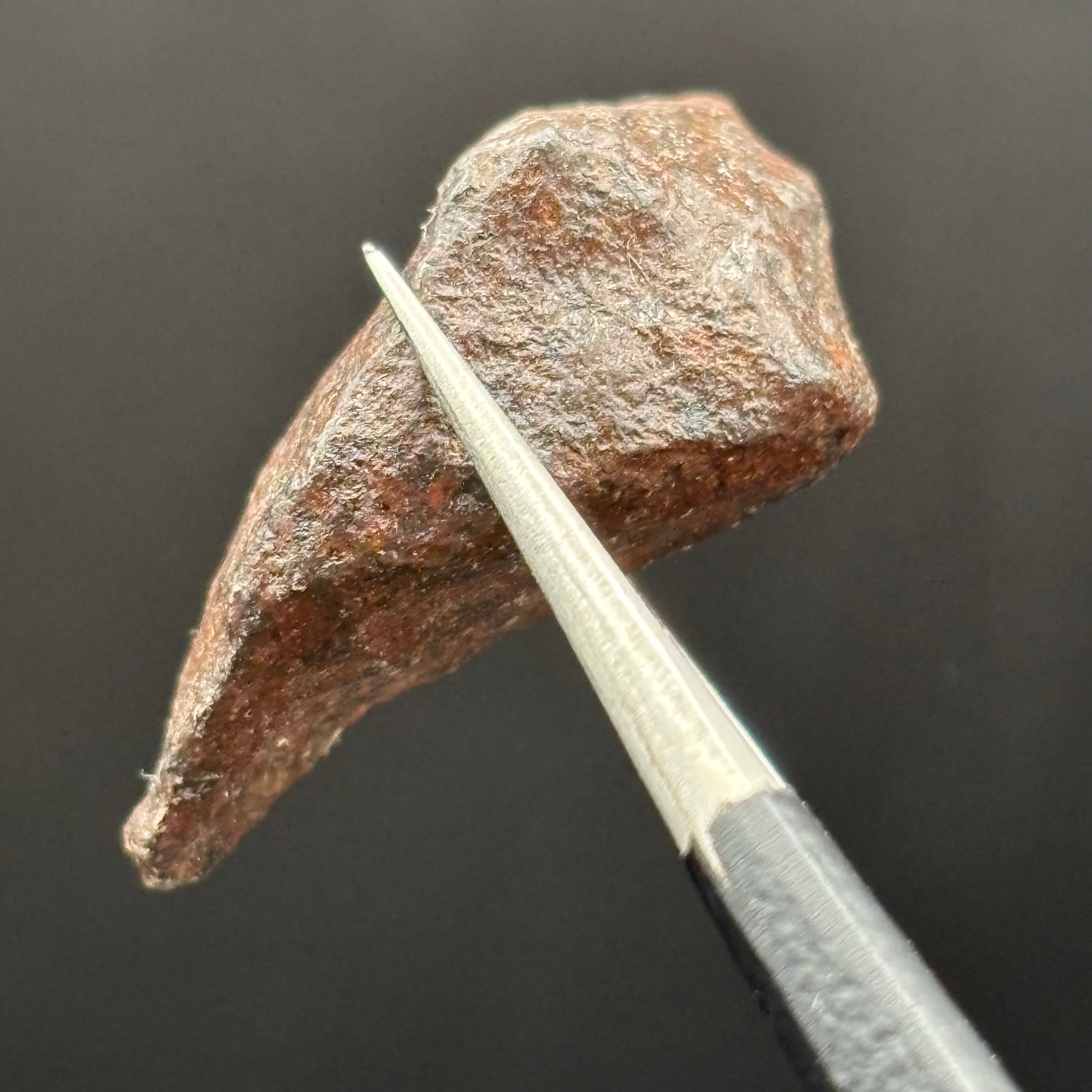 Meteorite, Half-Polished - 016