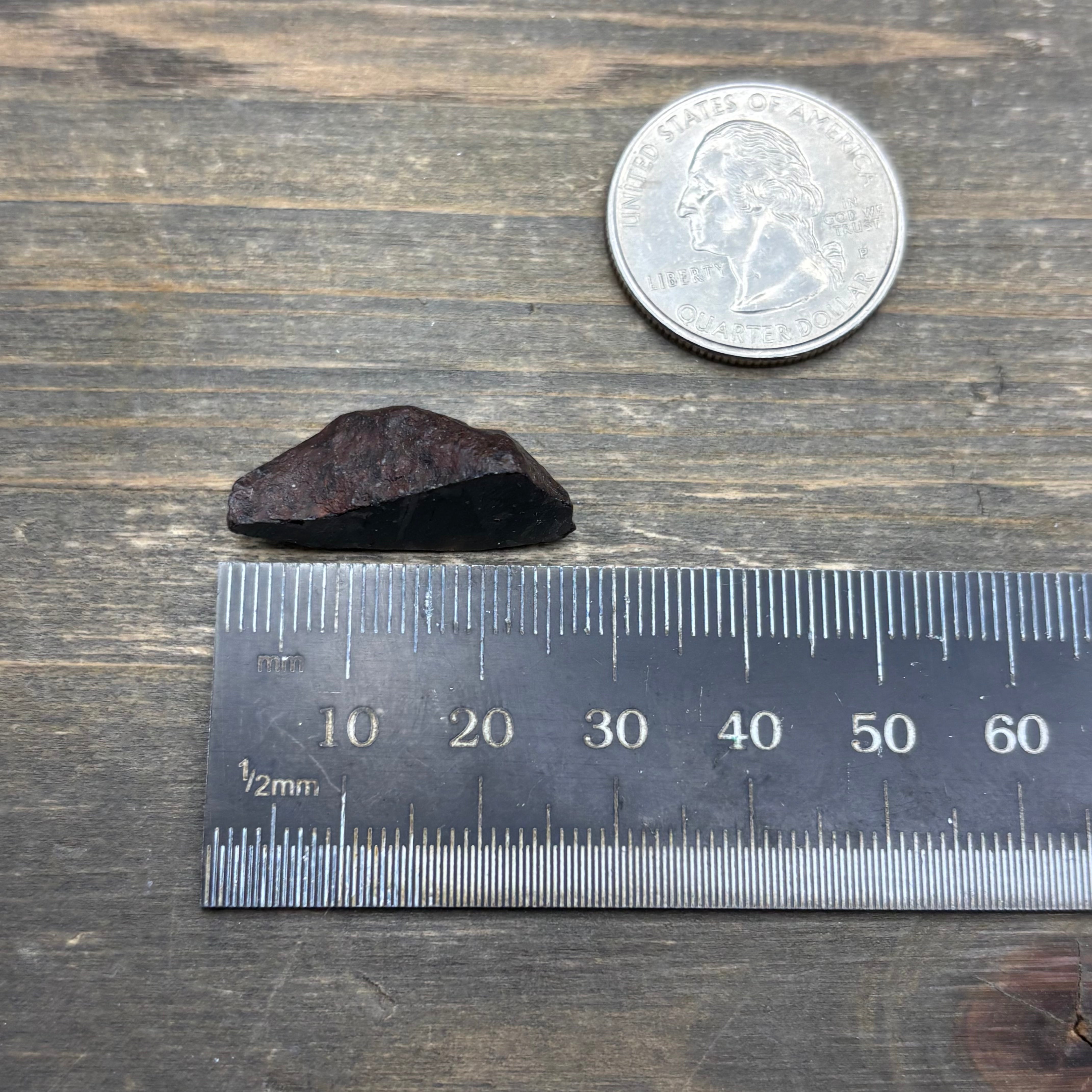 Meteorite, Half-Polished - 016