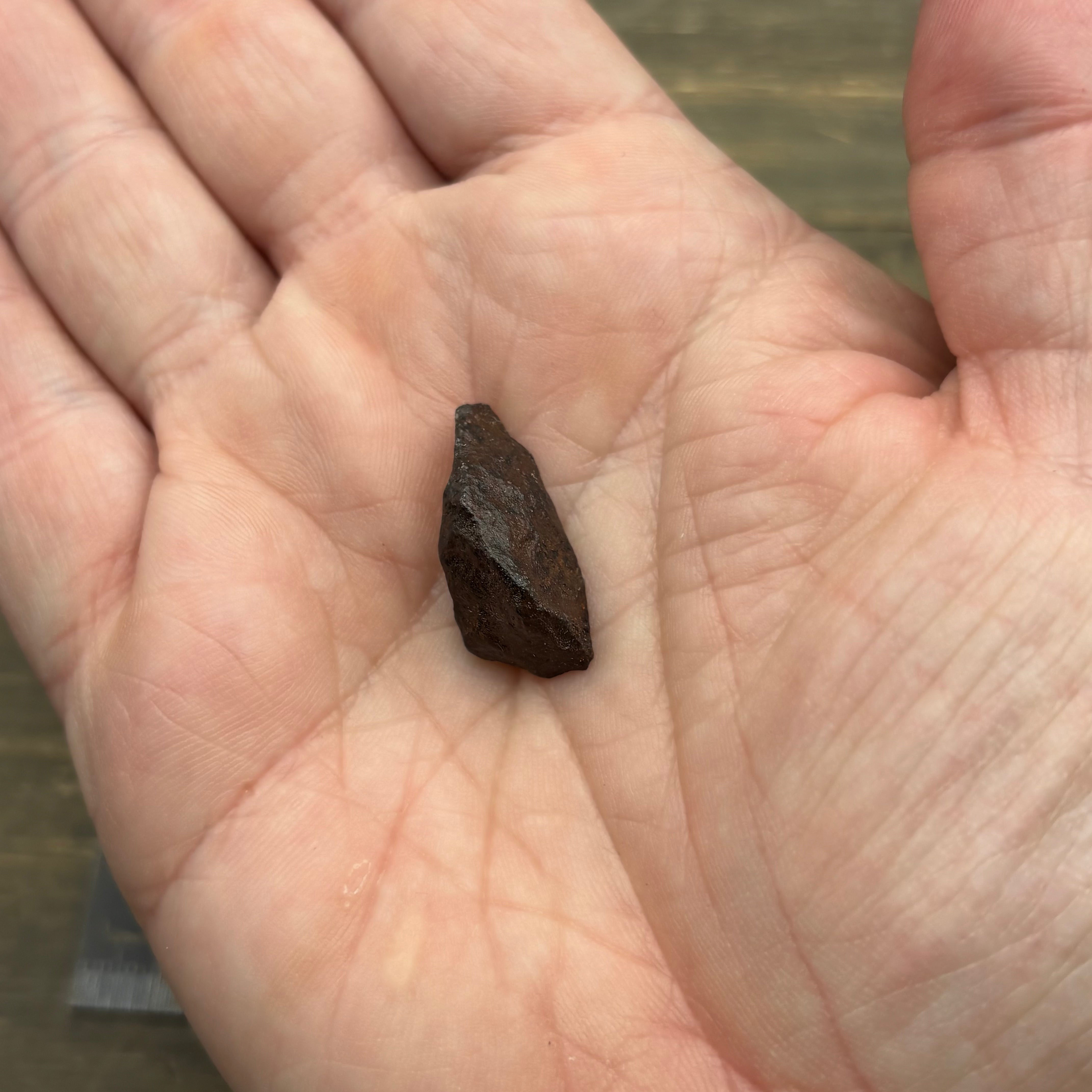 Meteorite, Half-Polished - 016