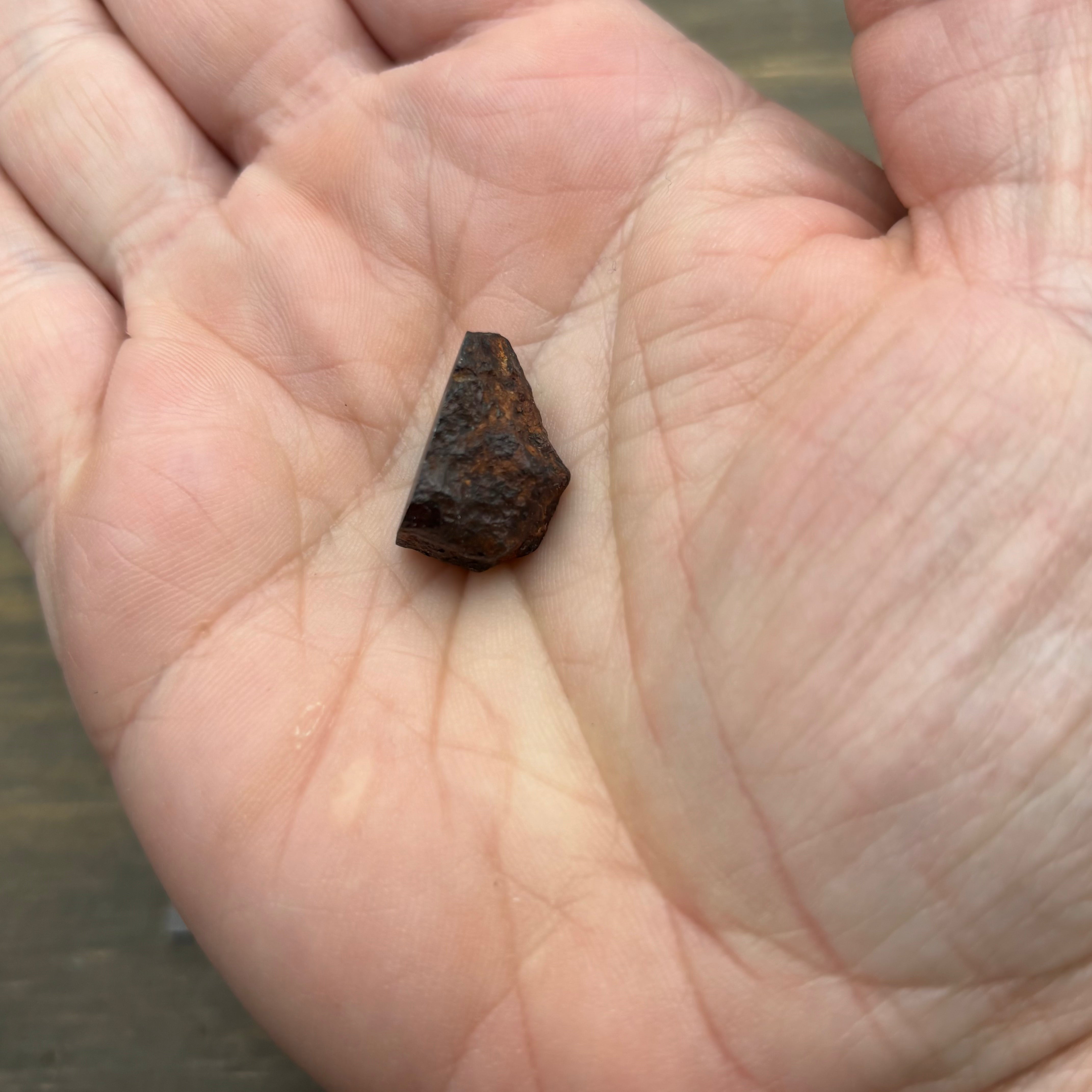 Meteorite, Half-Polished - 017