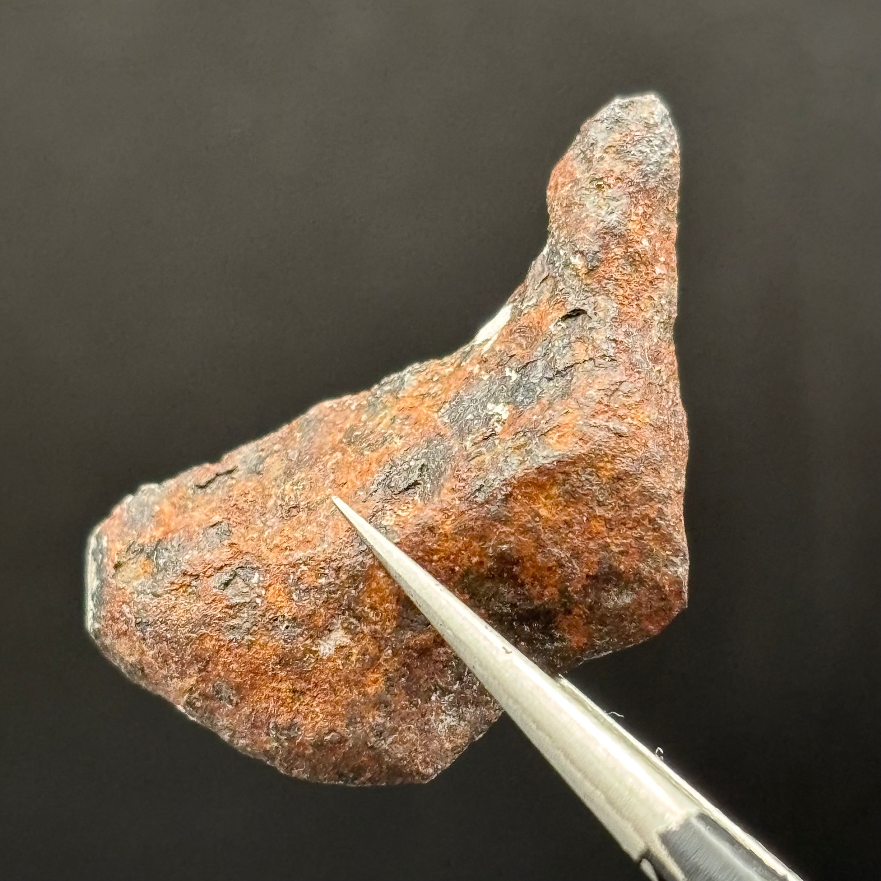 Meteorite, Half-Polished - 019