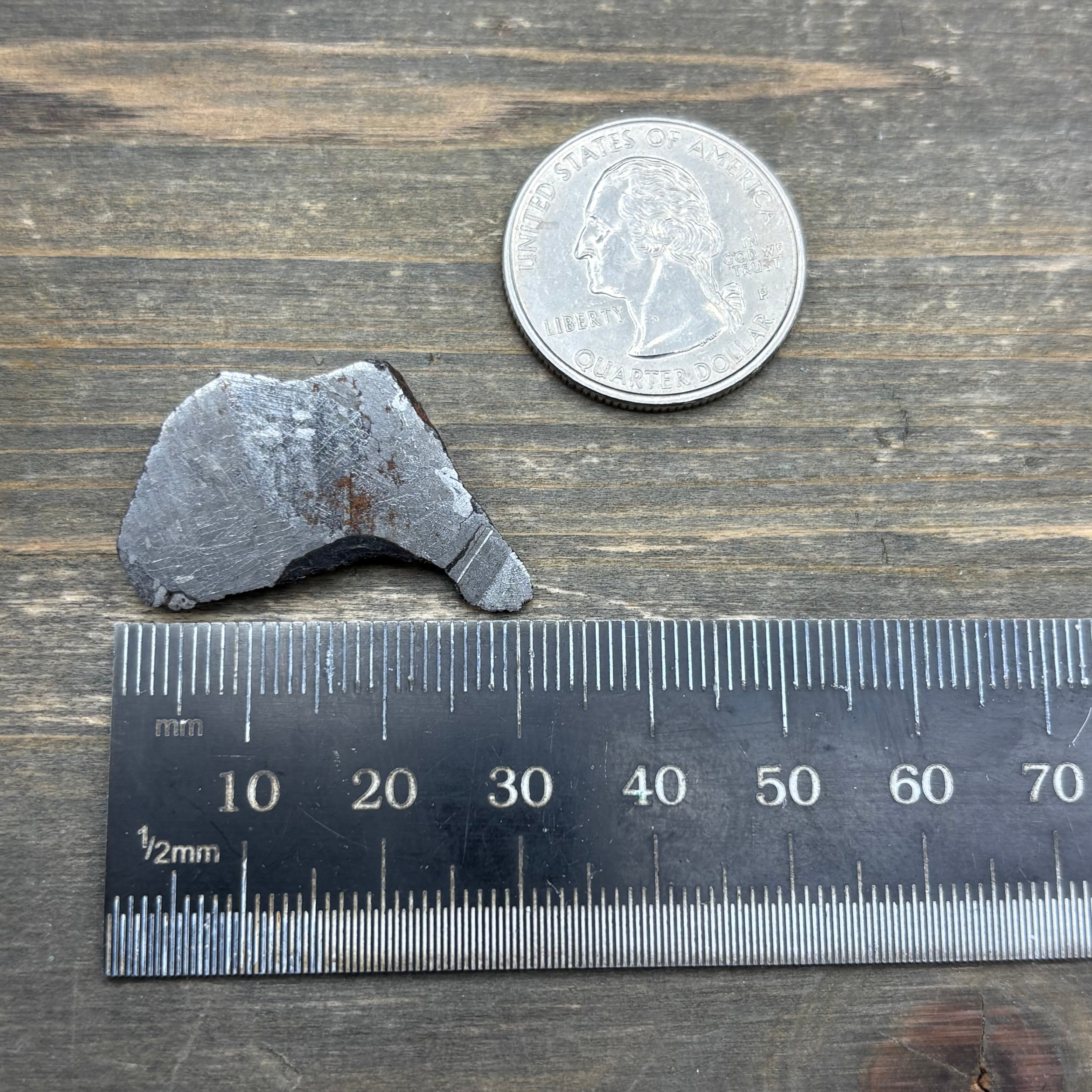 Meteorite, Half-Polished - 019