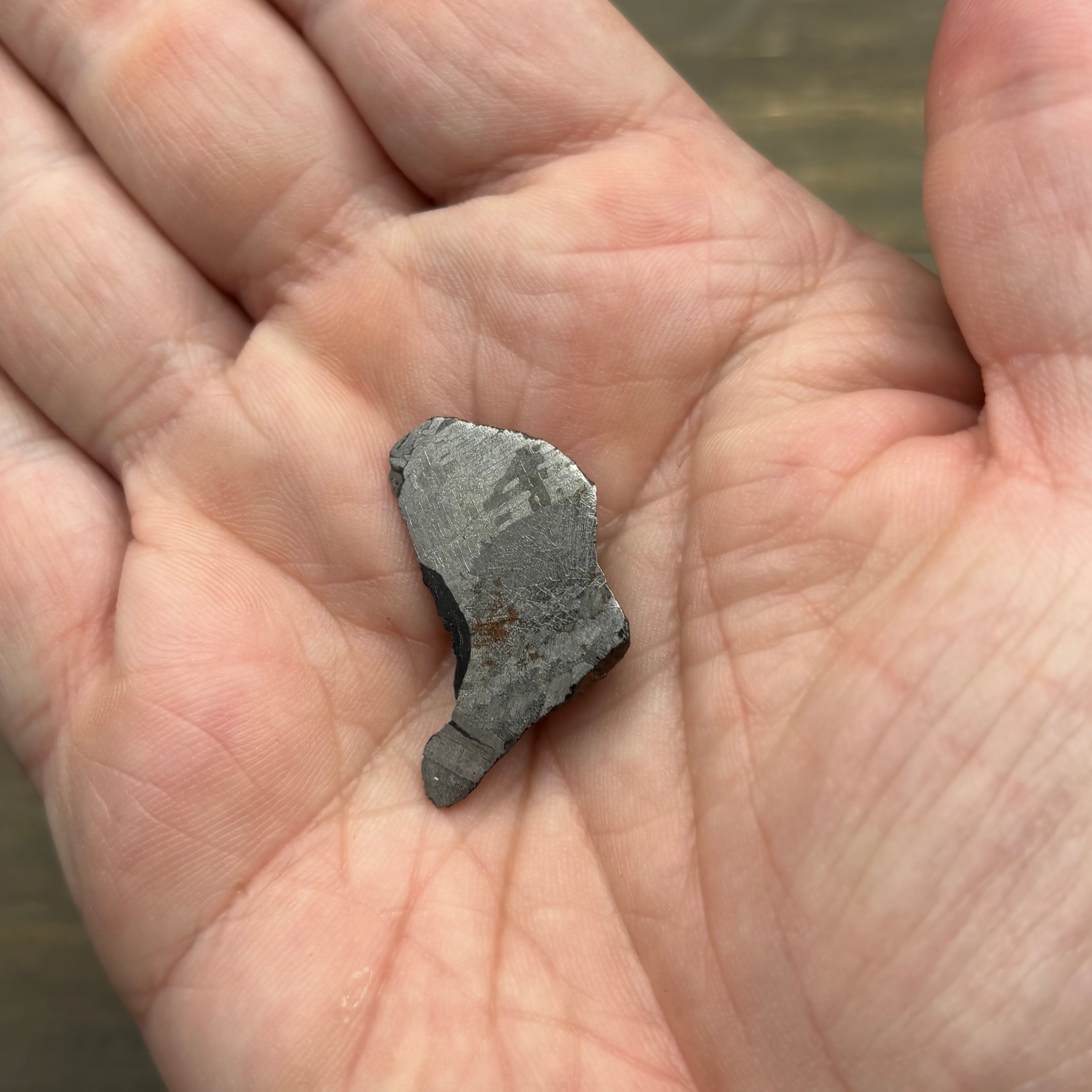 Meteorite, Half-Polished - 019