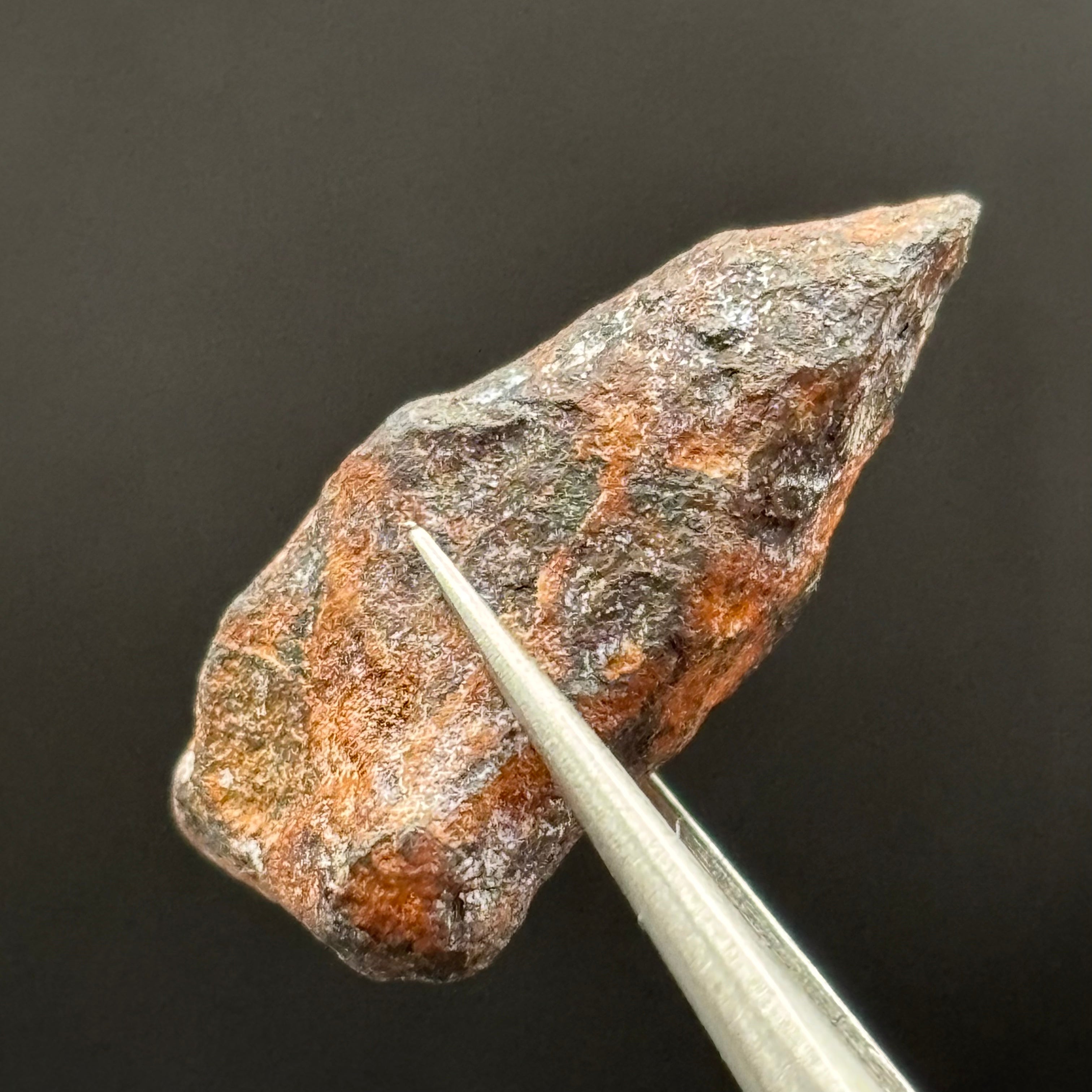 Meteorite, Half-Polished - 020