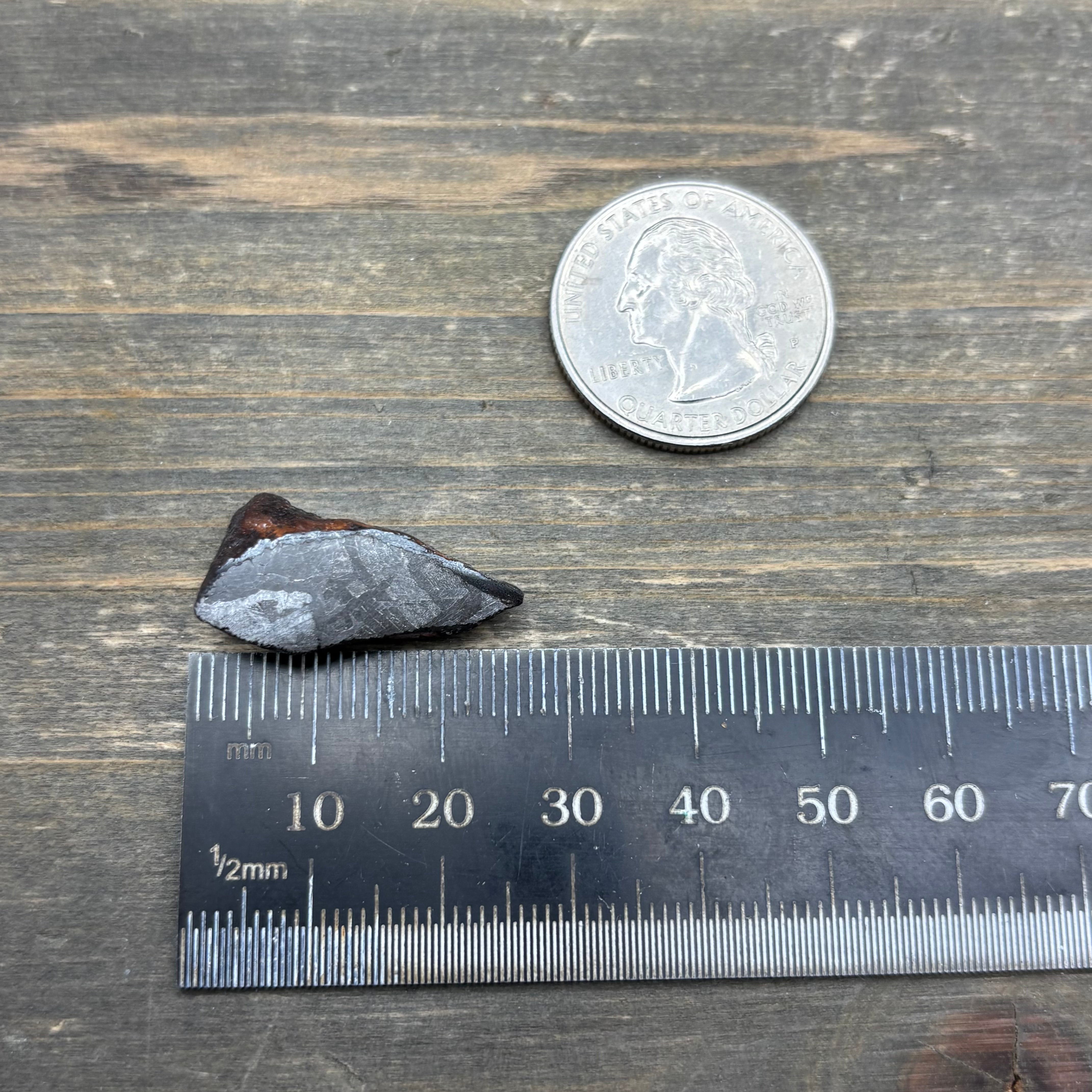 Meteorite, Half-Polished - 020