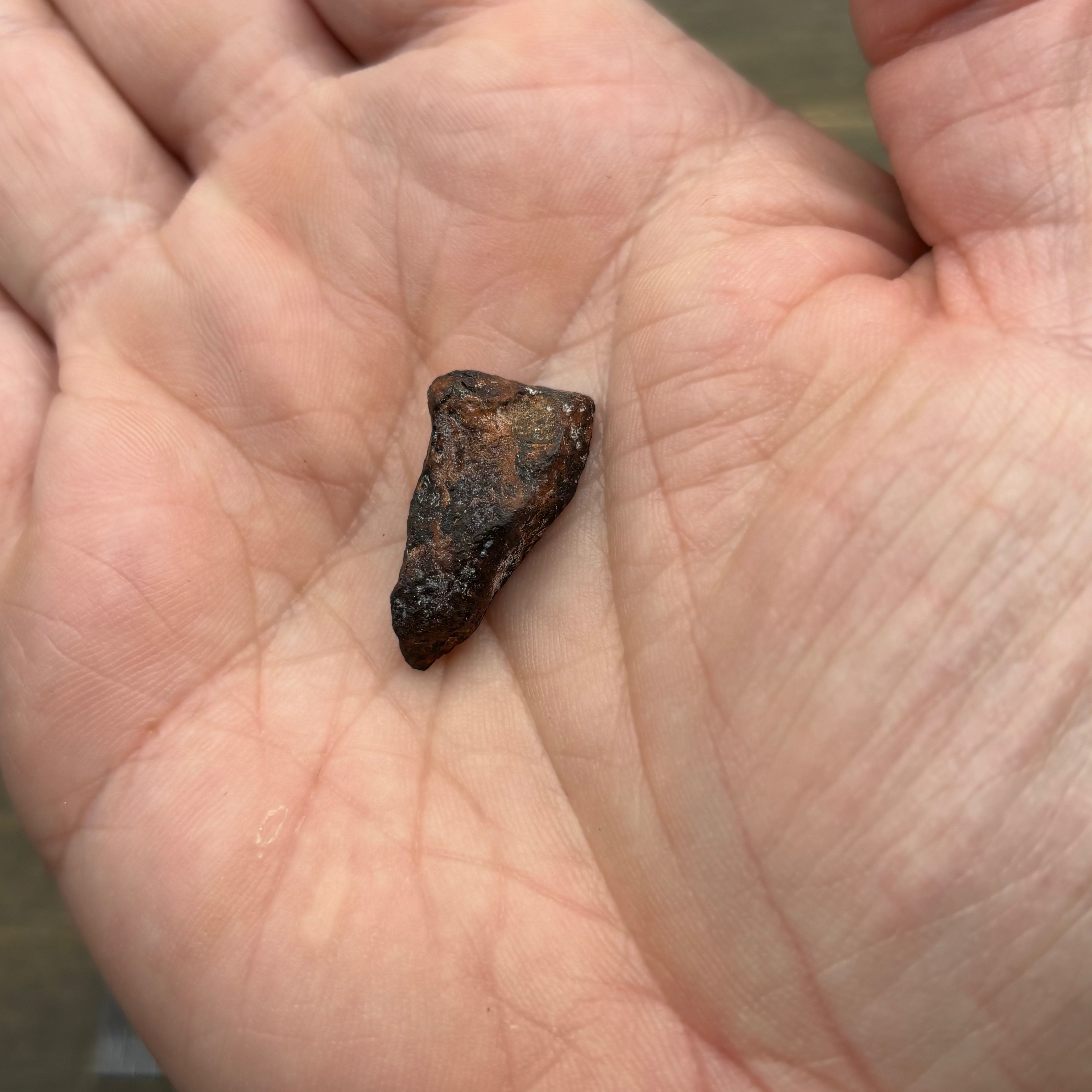 Meteorite, Half-Polished - 020